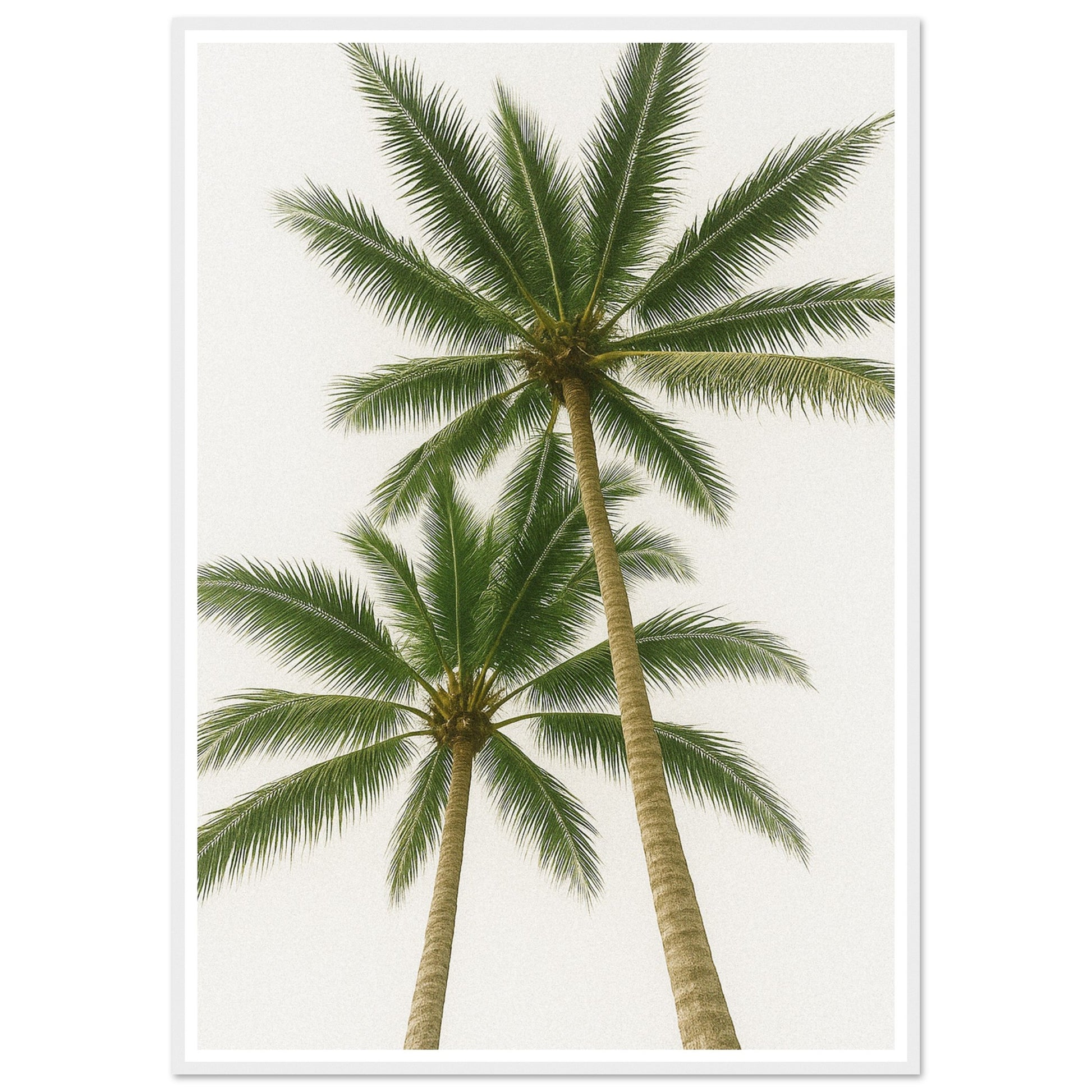 b65053e1-72e9-4794-8c63-079d5425e3d4