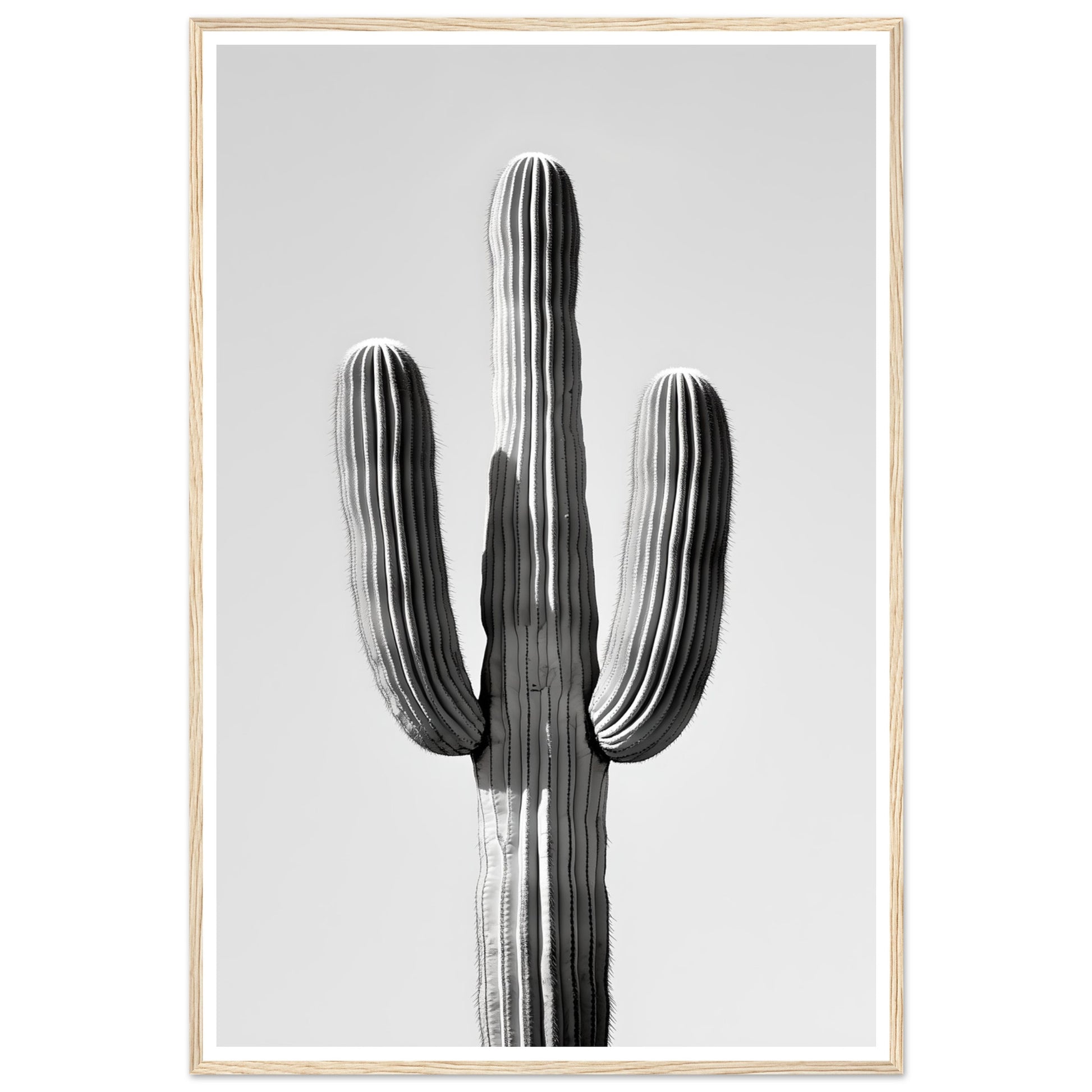 b6b18038-baf0-406f-aea2-43ddda1e84d1