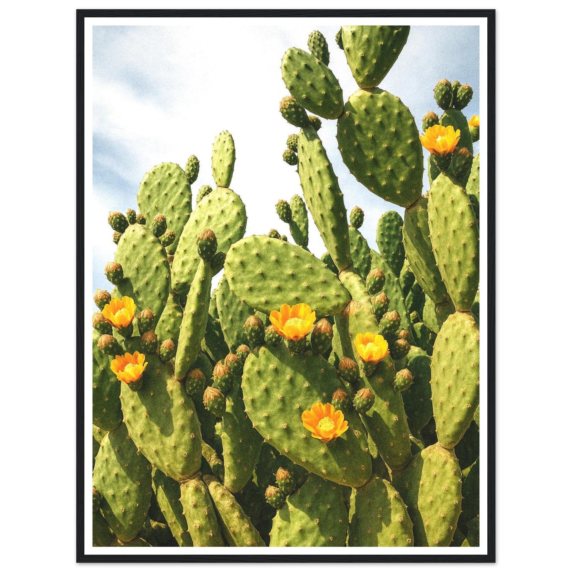 c05d1871-5574-4ce4-8ba4-6909f4f0b3af