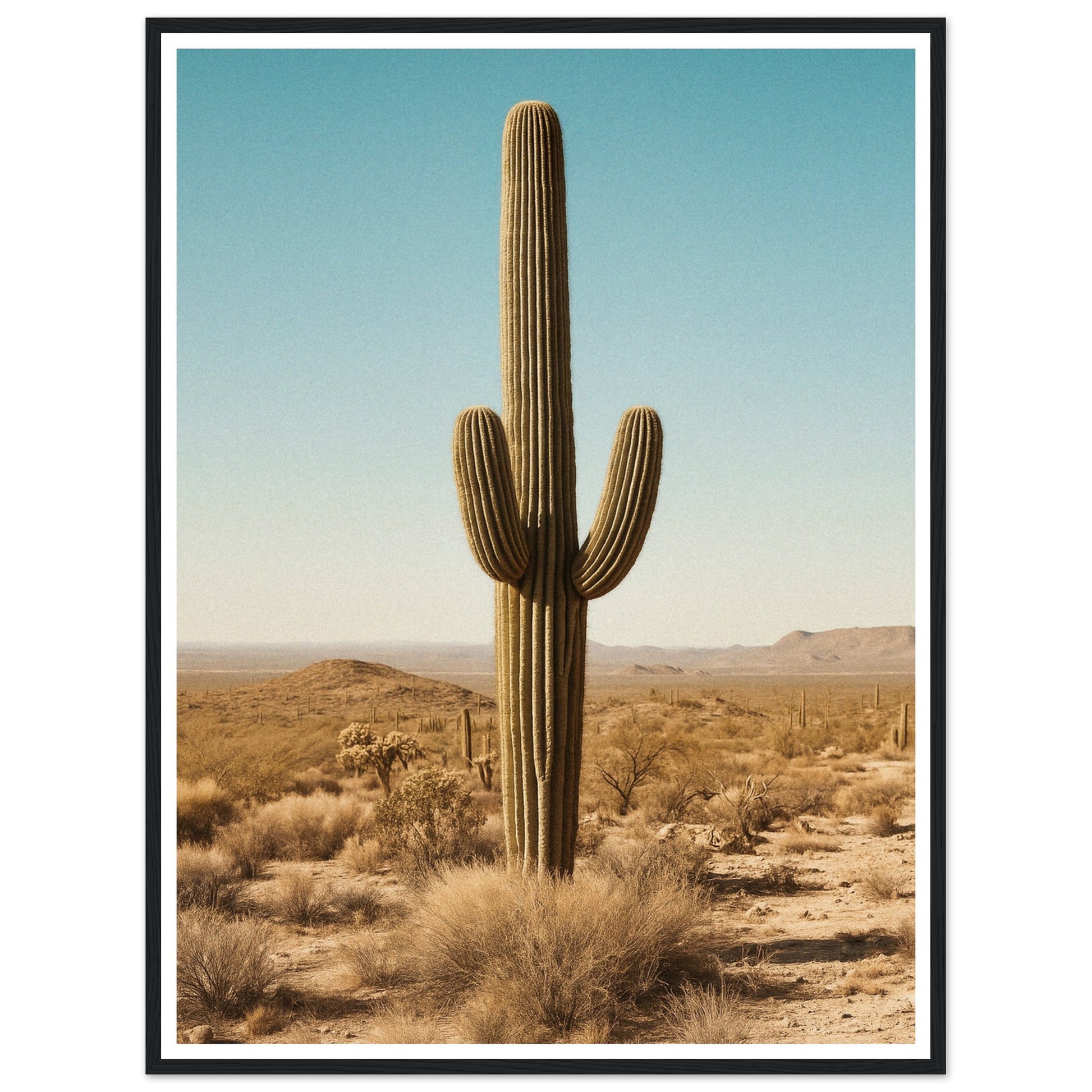 c2a447bb-33bc-4d3a-87e8-74d6a2b34abc