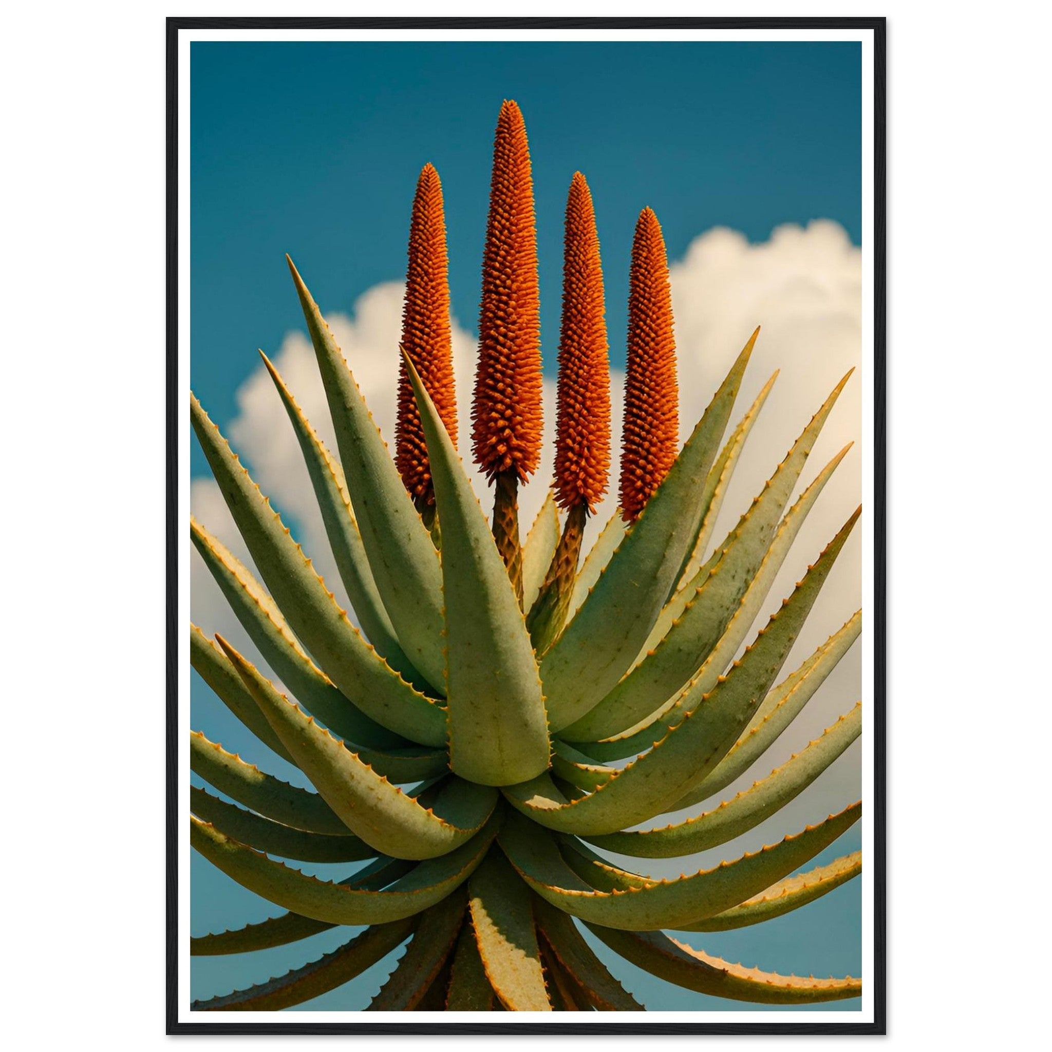 c32e6111-c015-46d7-b7c1-6c1424f7327f