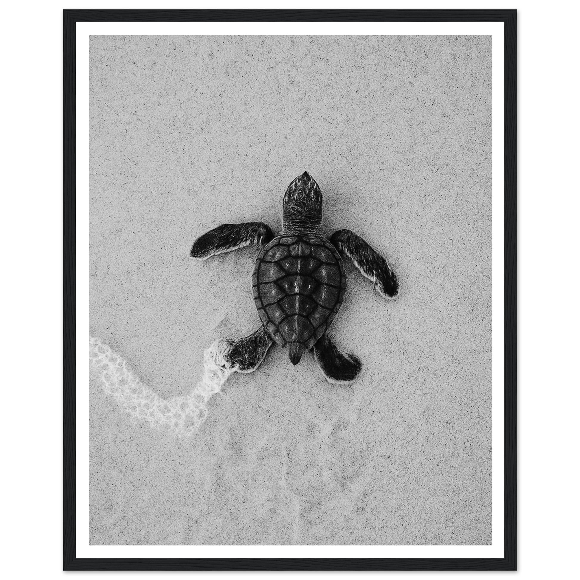 c450fcda-d598-4b0e-8b27-8316ddf5f0e5