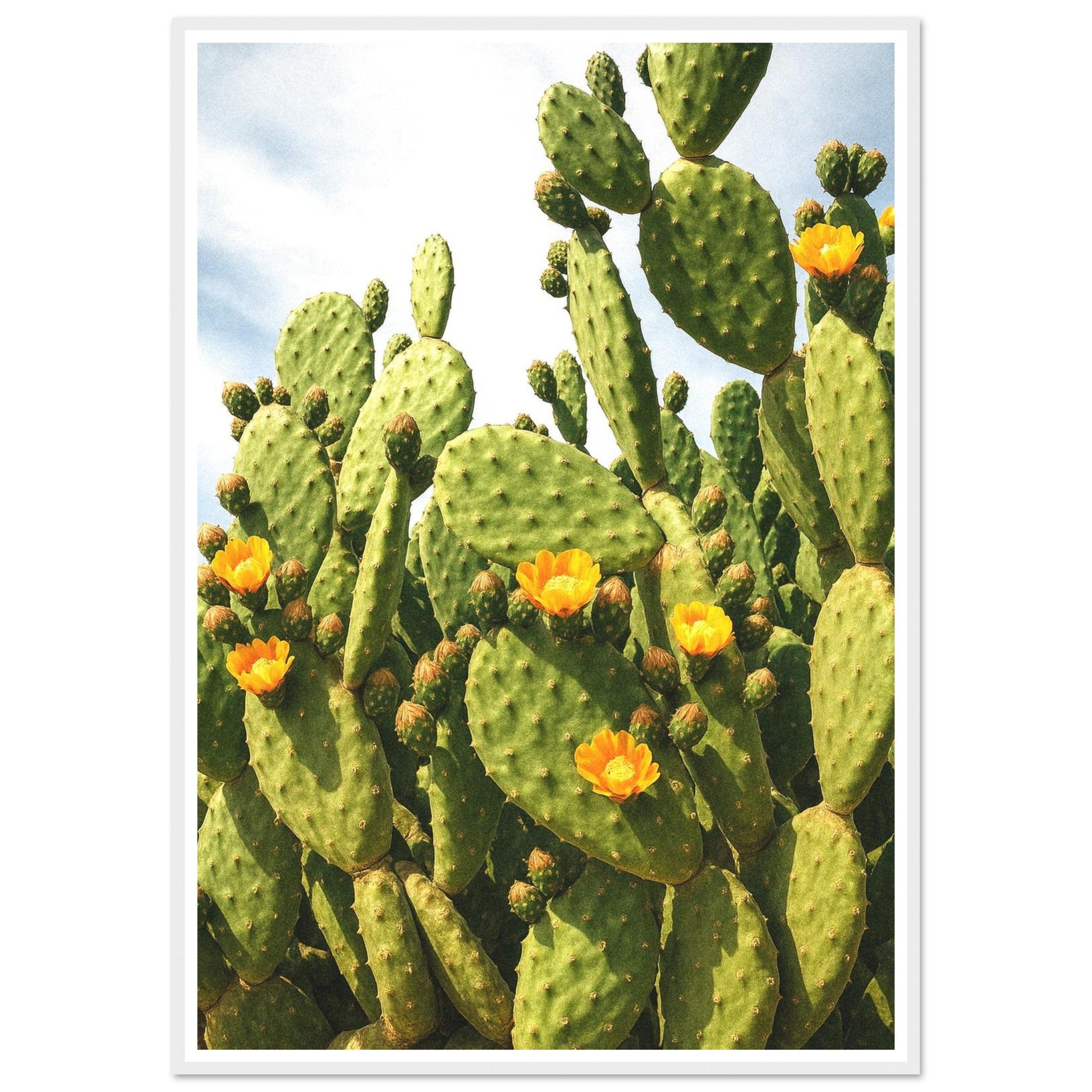 c84e8a86-3f91-4d37-9688-f51e6145c3b9