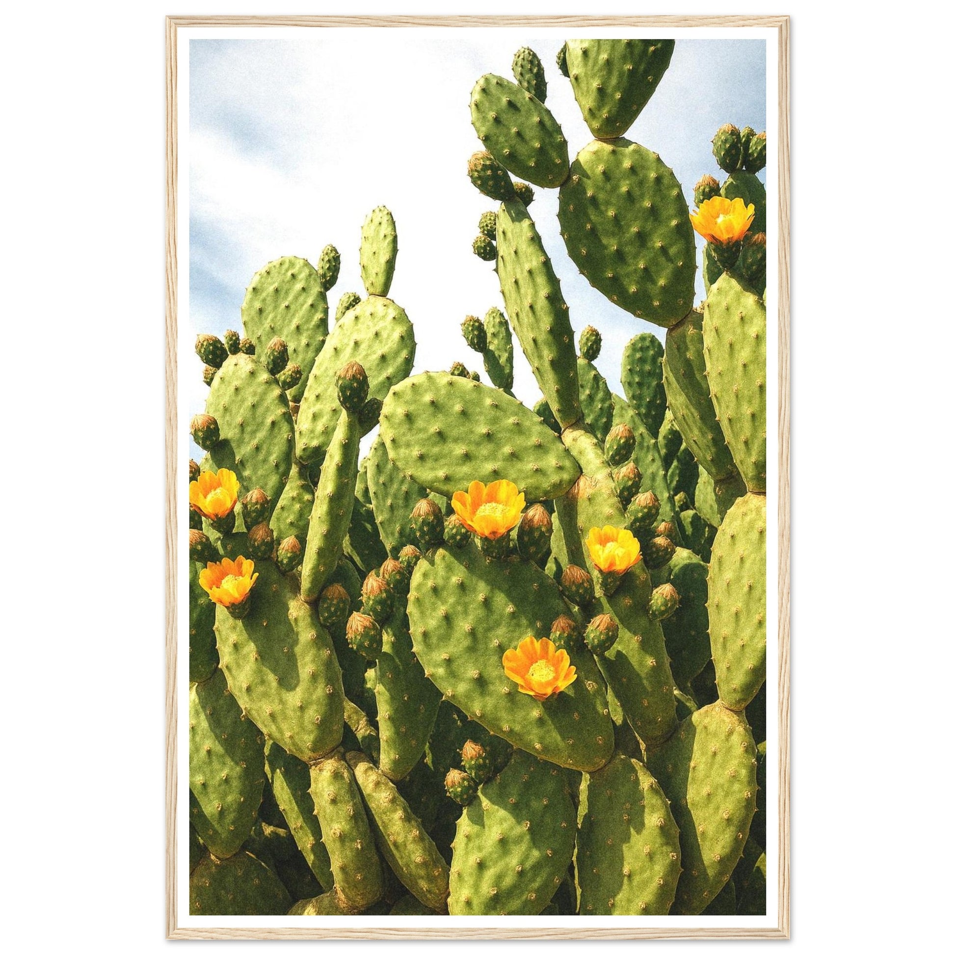 cb198837-695a-4e33-82d2-434dfaa62833