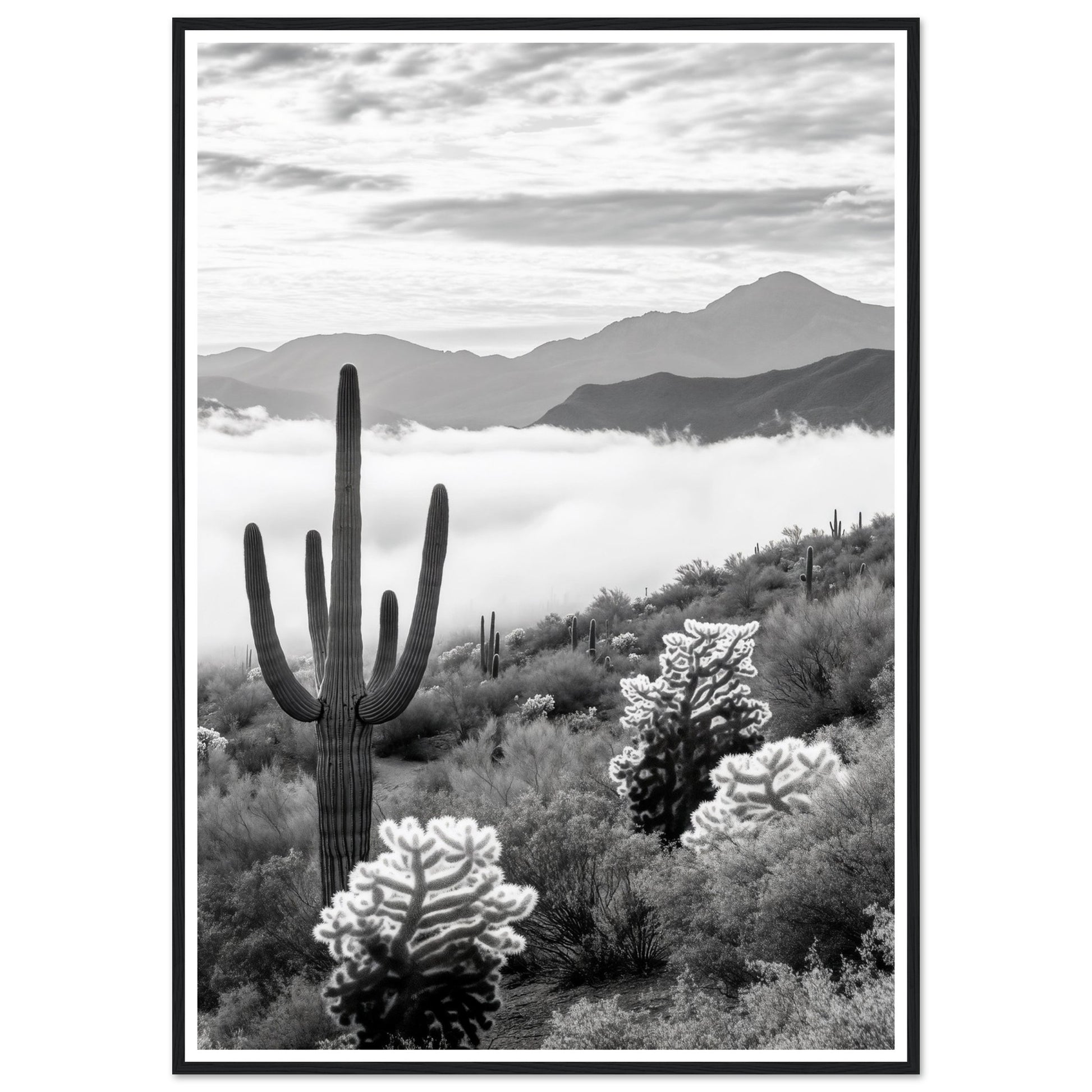 cc148886-fa80-48b2-a29a-9ca378b183b5