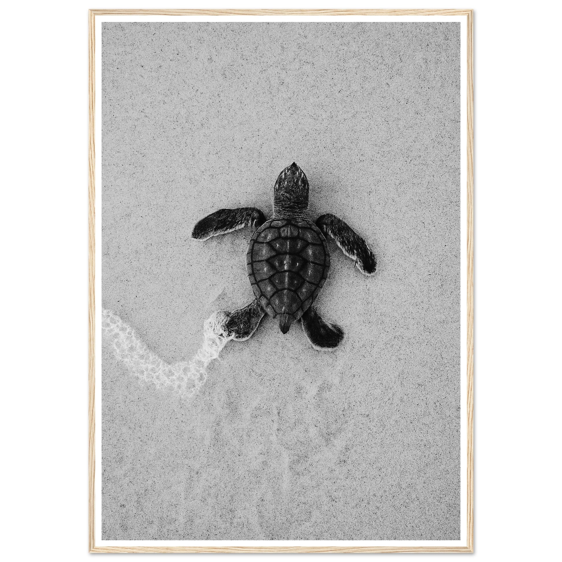 d4288b0d-bcdc-4091-9331-593761abc5f0