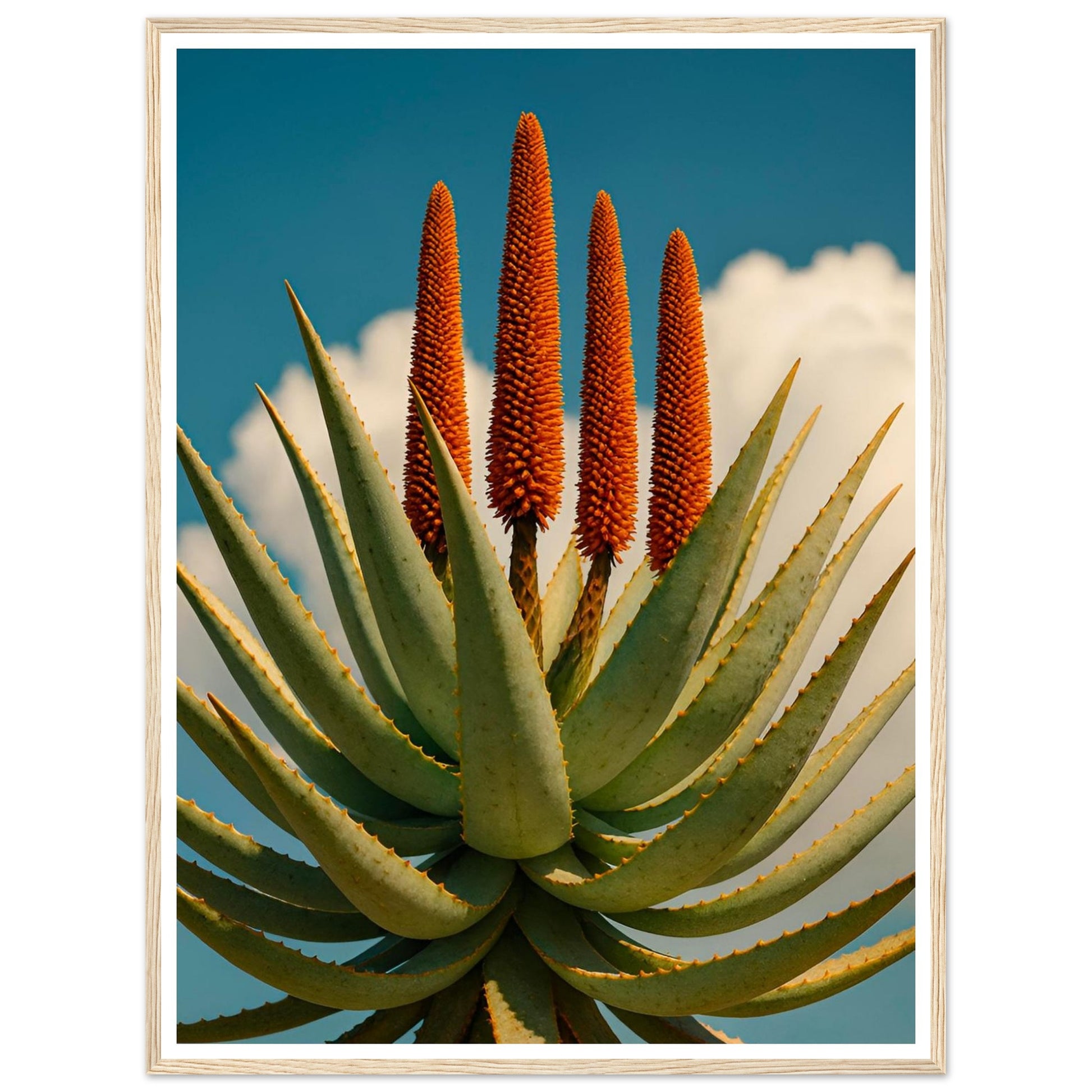 d4a1d0e1-6ca8-47c4-b706-f066c8b0eacb