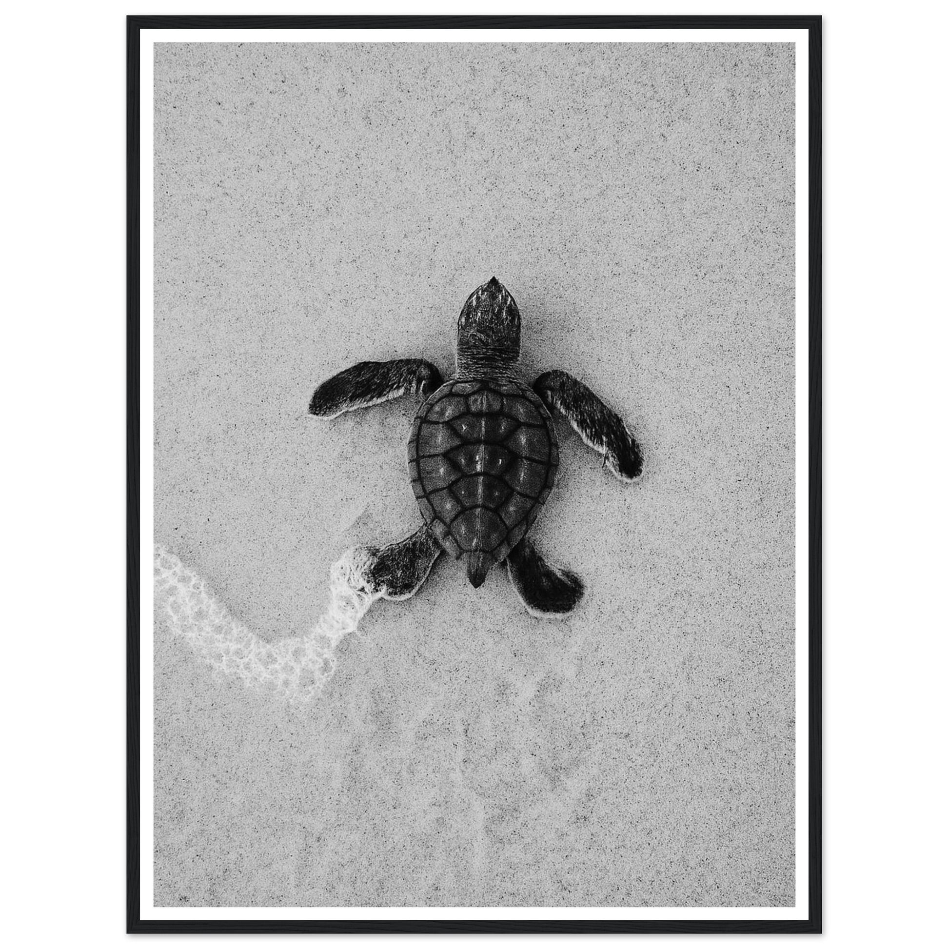 d9514617-24b9-4423-a527-7892f39e7e15