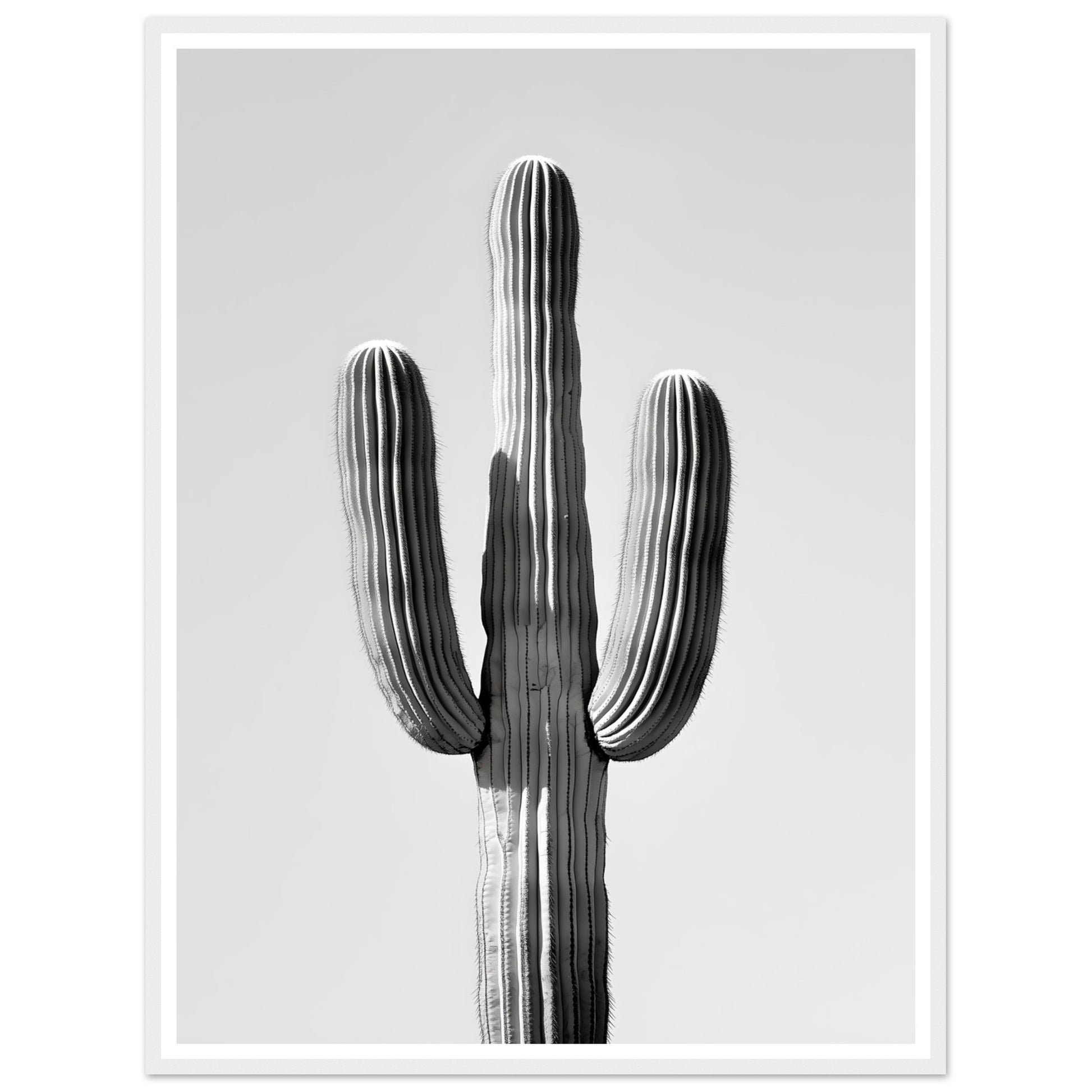 dd11b524-9d4d-4b4f-9f1a-41faba90f1f5