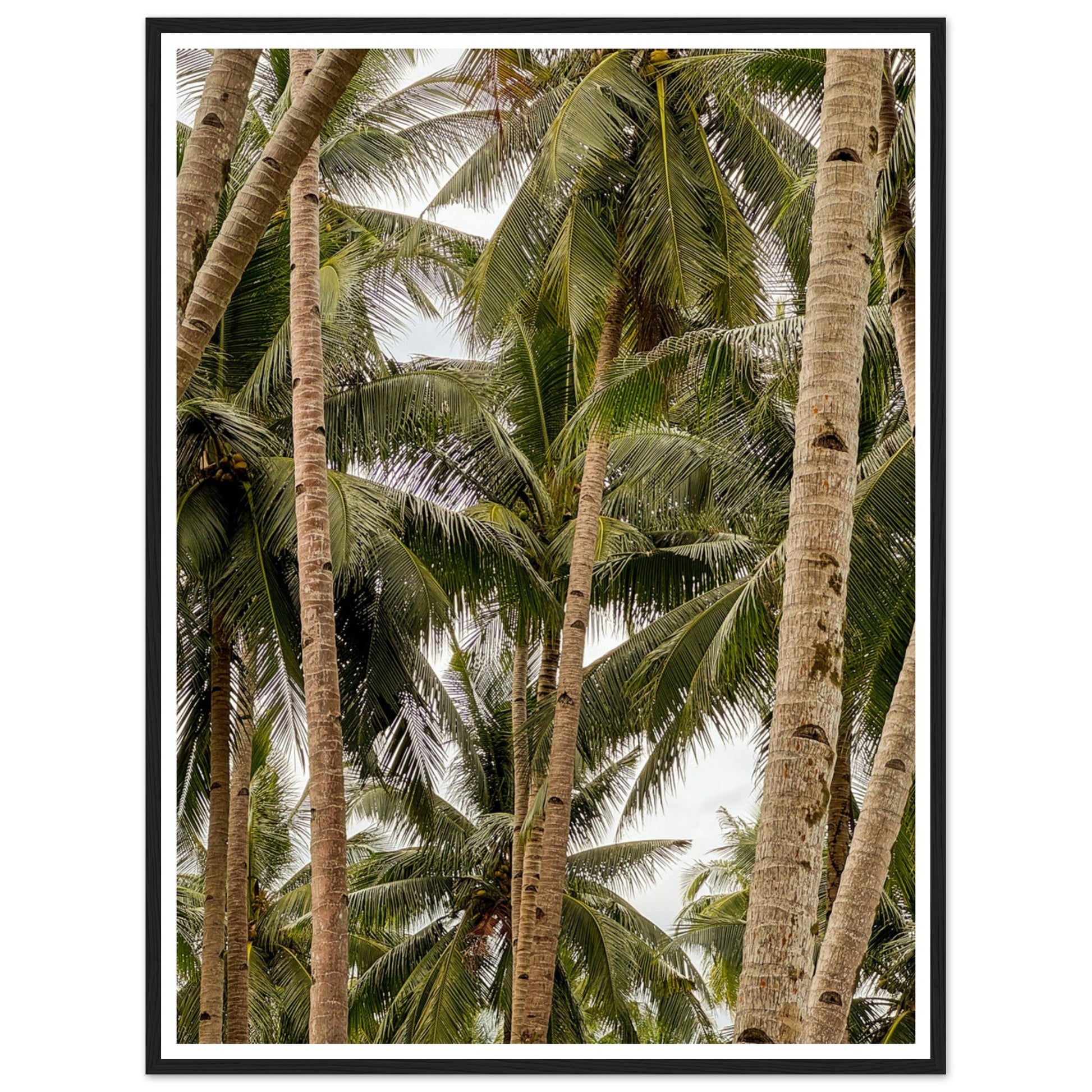 e36433d4-4f3d-43b0-9298-e70ae75e92ae