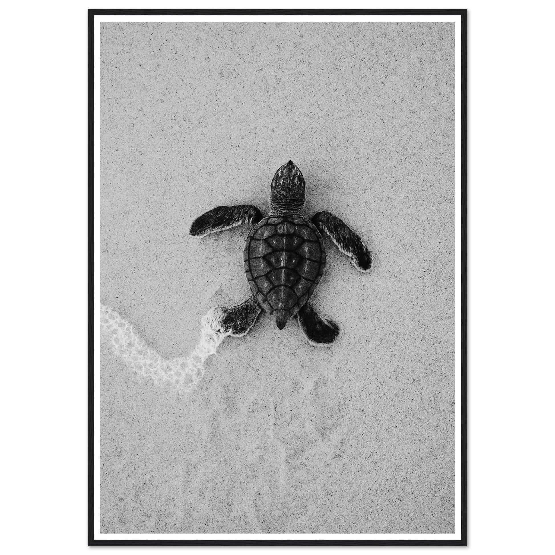 e4b70d6e-98eb-4303-a075-cbc7ea0bc5fc