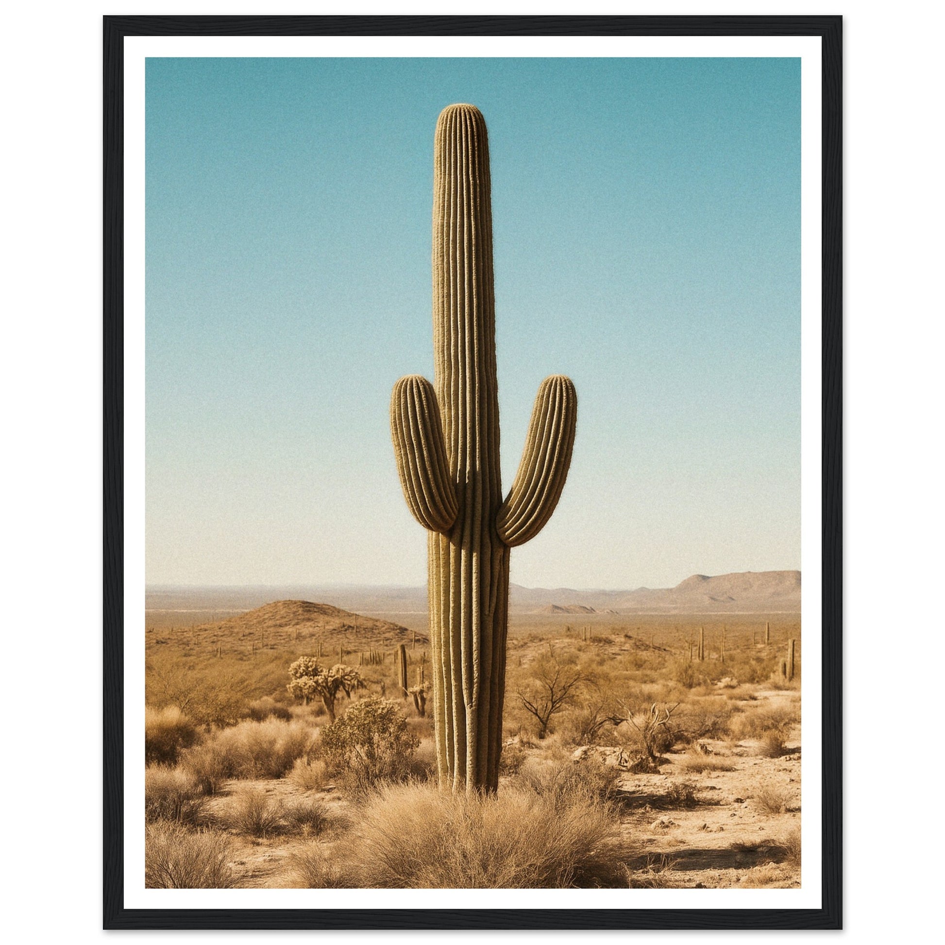 e6c8e4c9-df6a-4650-94c5-6f692a665a16