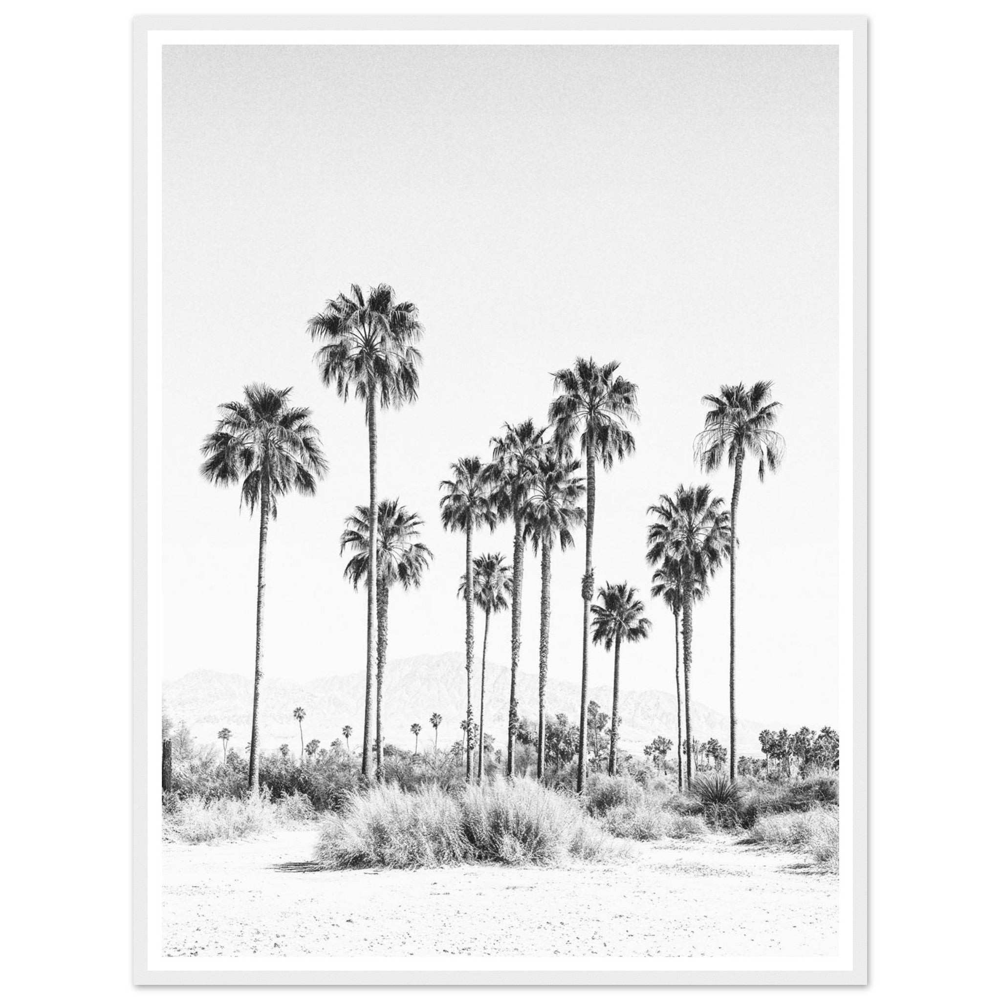 e9ab9075-ac3c-4576-802e-bd6285b32223