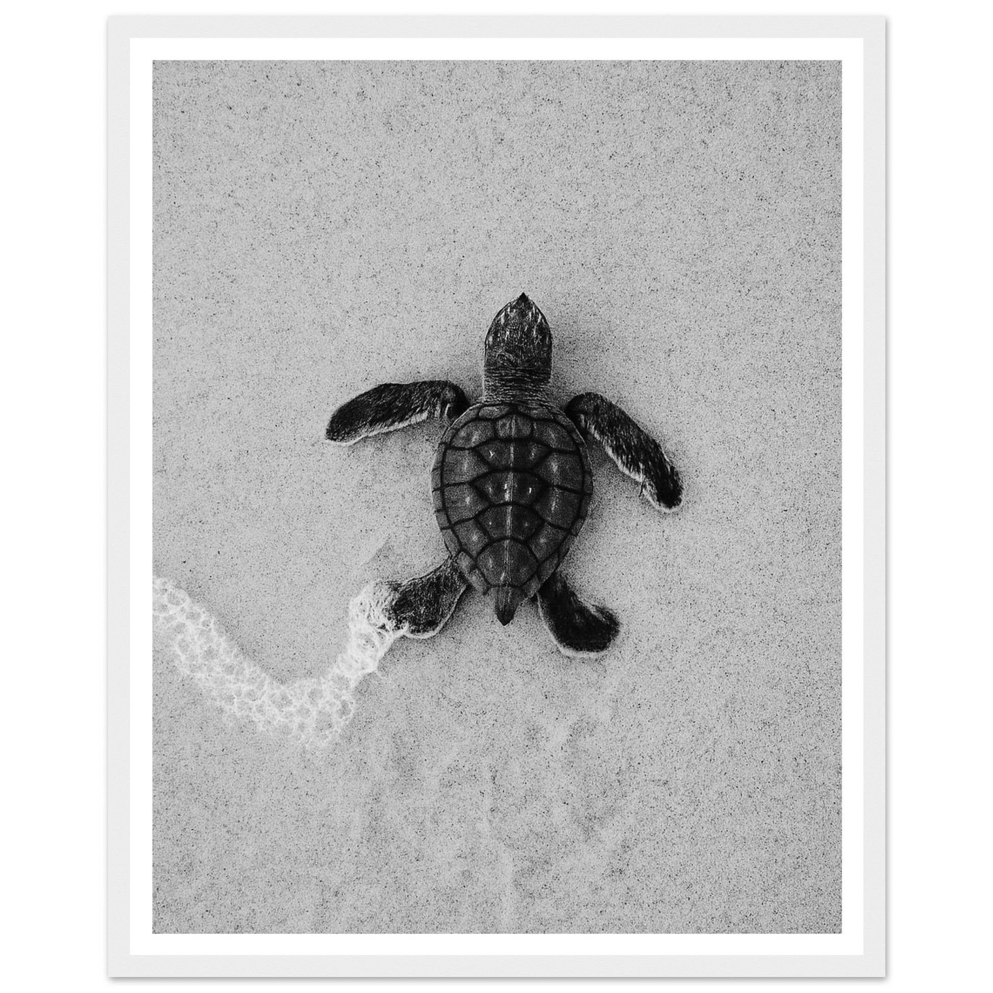 f304ef2e-155b-44df-909d-fd76e37dc25e