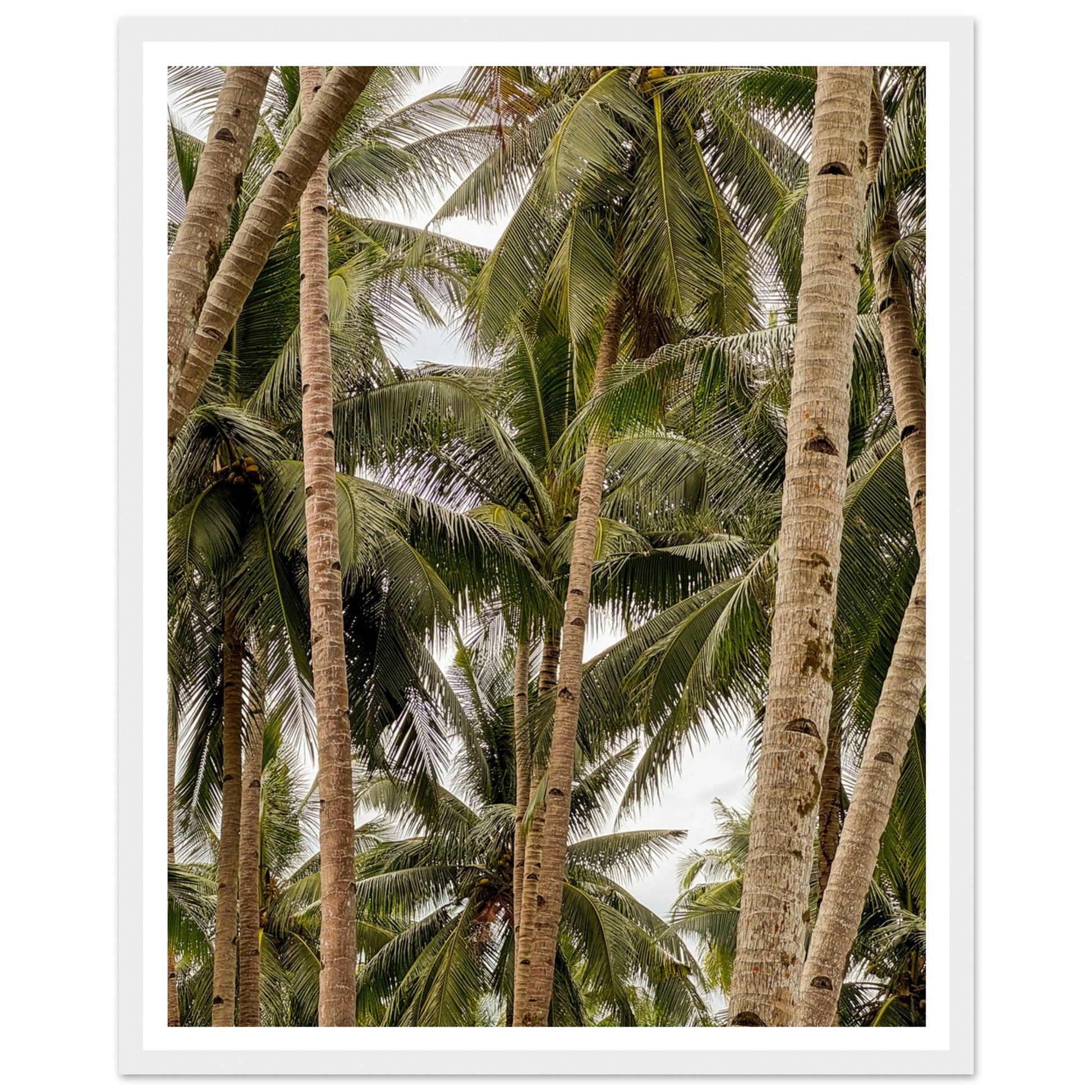 fab16df9-1c63-4179-92c5-0027ceec62d2