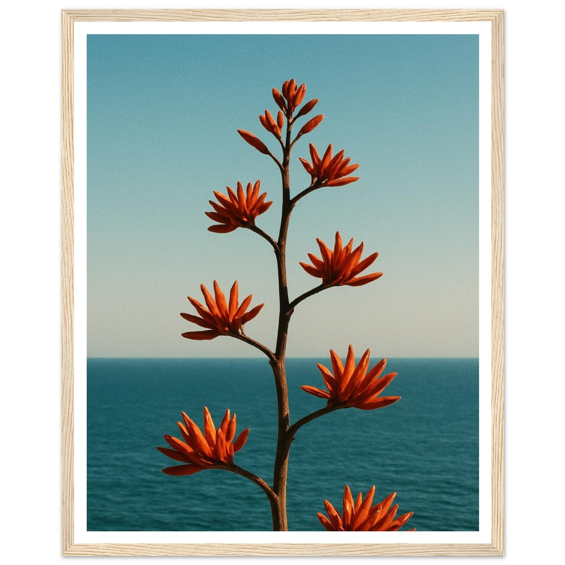 fc0bcac9-5648-4e09-9da8-0f479a6bc1ef