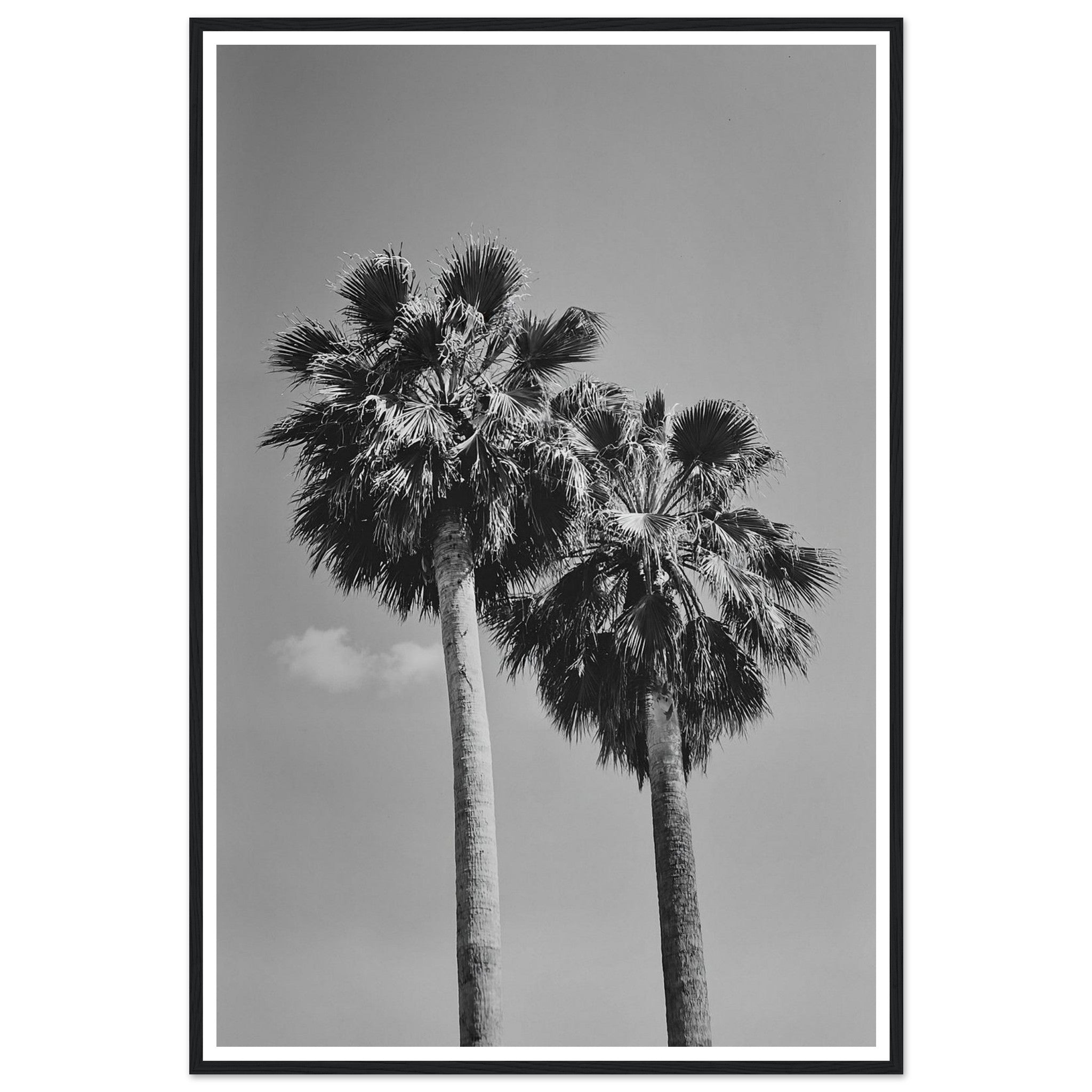 17ef5e9b-a76b-4435-be88-a209343a2c0e