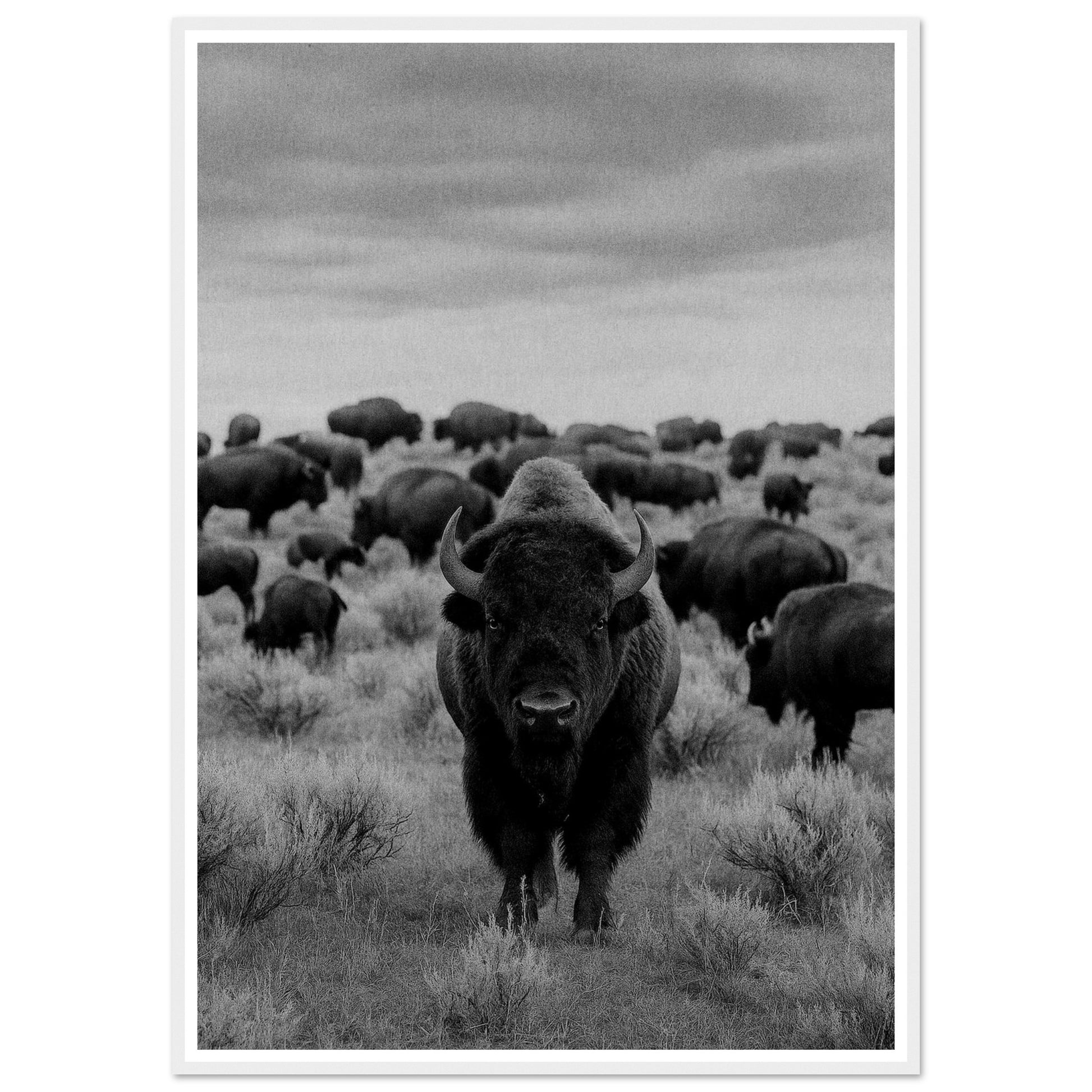 19d030d7-12c1-4db9-bdb7-53653e5c9af6