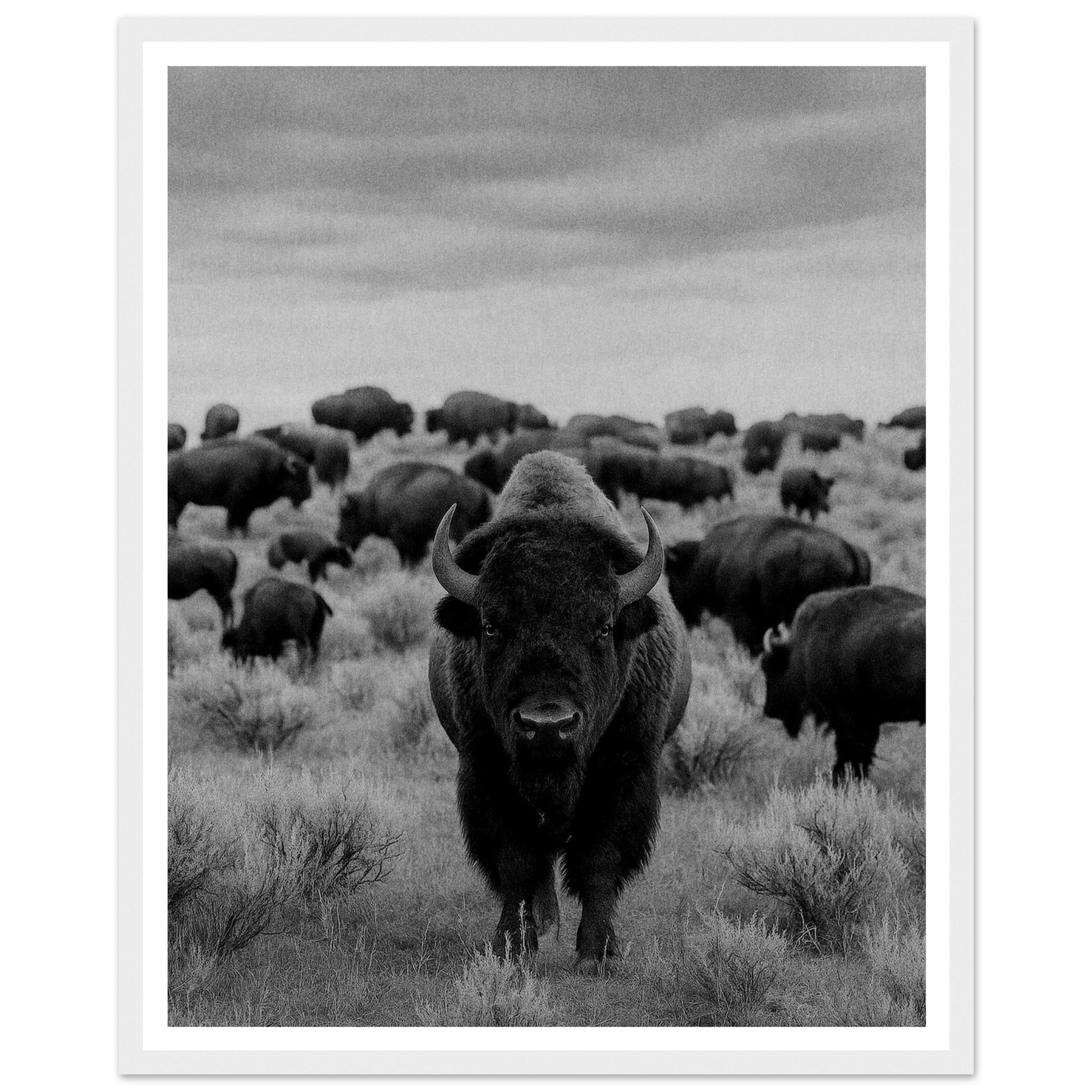 1c8abd22-1f2e-46c4-a850-e8b2863730a0