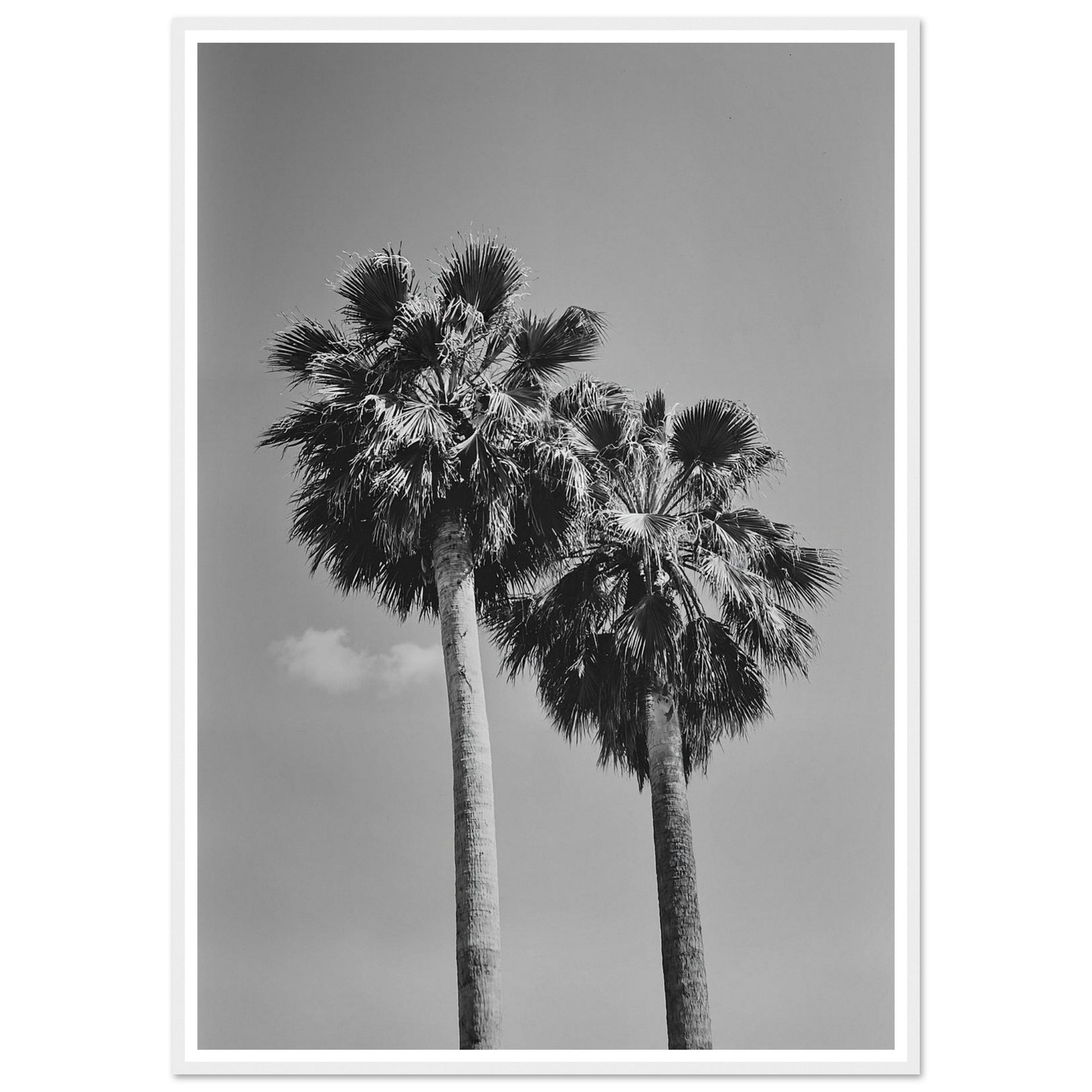 20cb0c2c-c2e4-4e13-b6ef-c1f9a9cec2b4