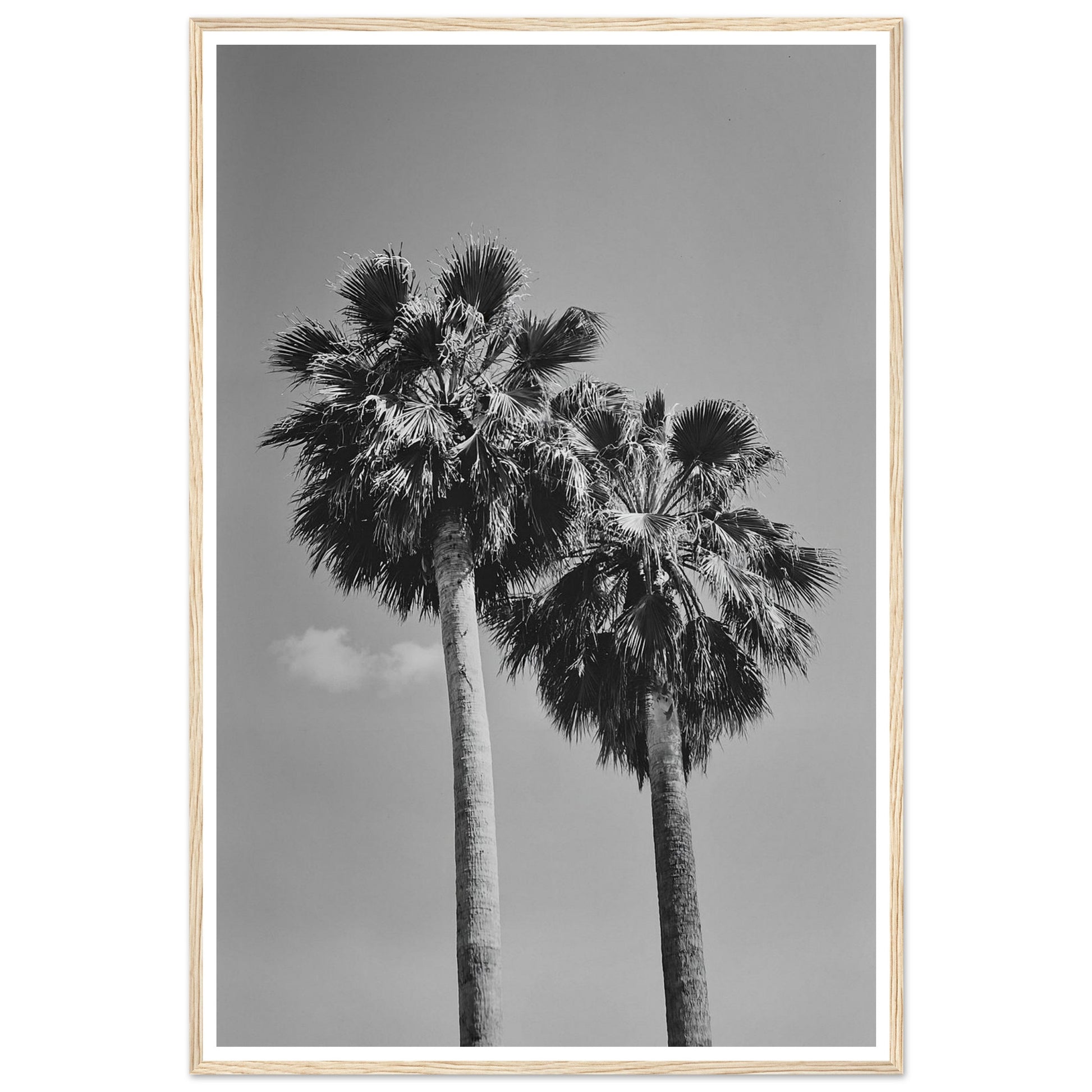 21959309-2599-43a6-9d02-a011975faceb