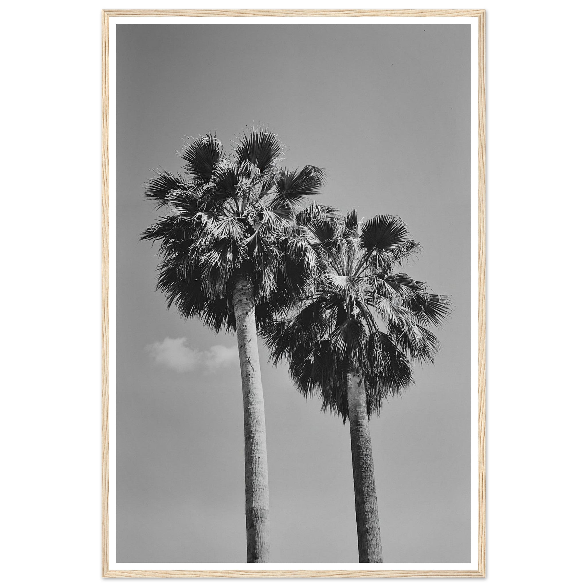 21959309-2599-43a6-9d02-a011975faceb