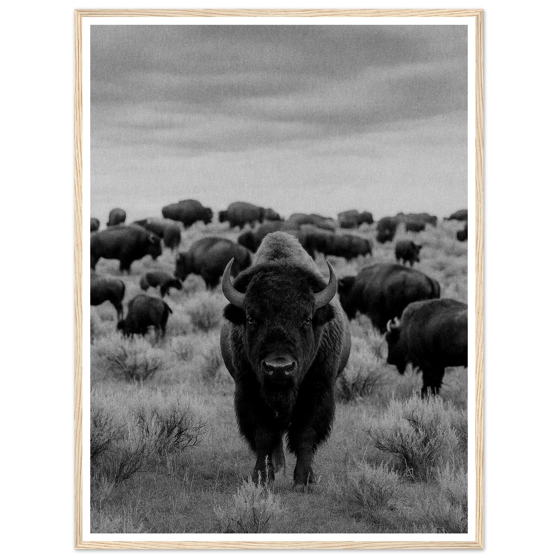 21ca8743-e69a-4dbc-8467-3b6a8208013d