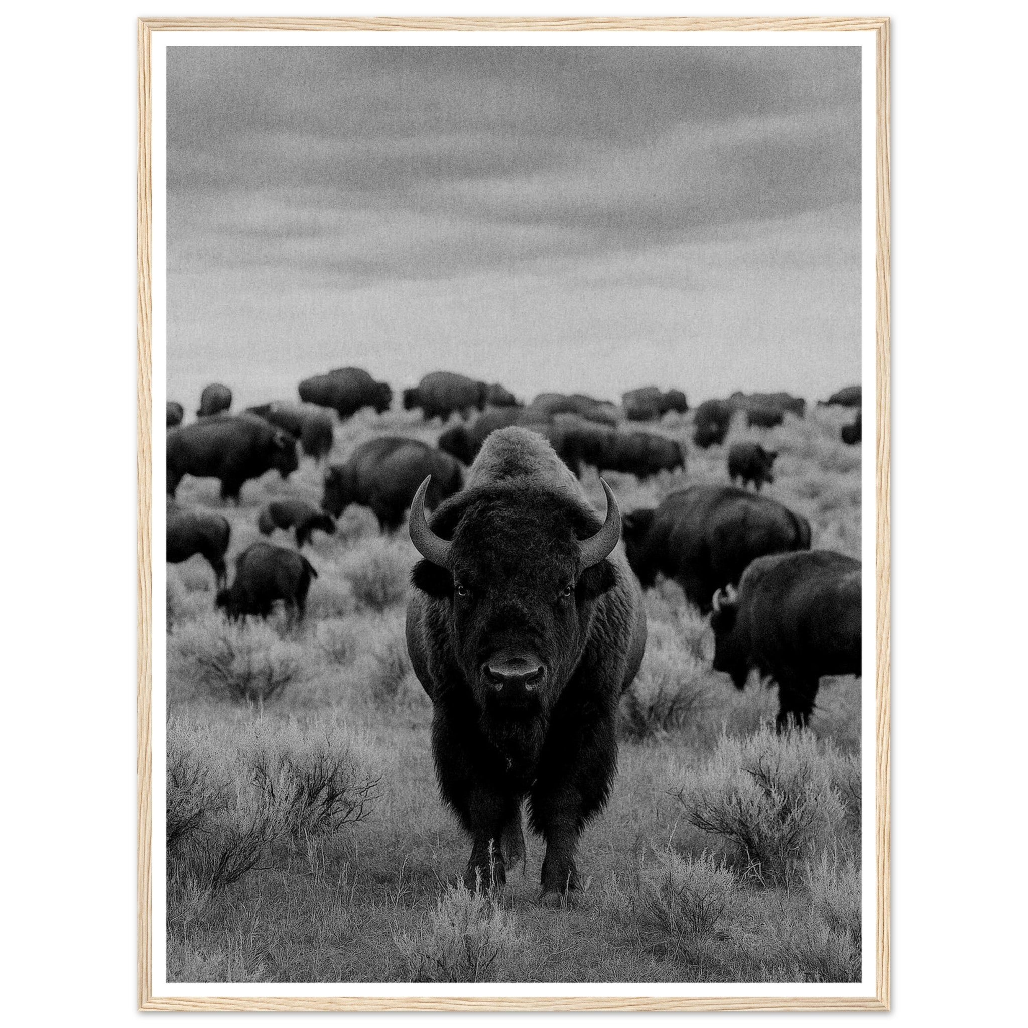 21ca8743-e69a-4dbc-8467-3b6a8208013d