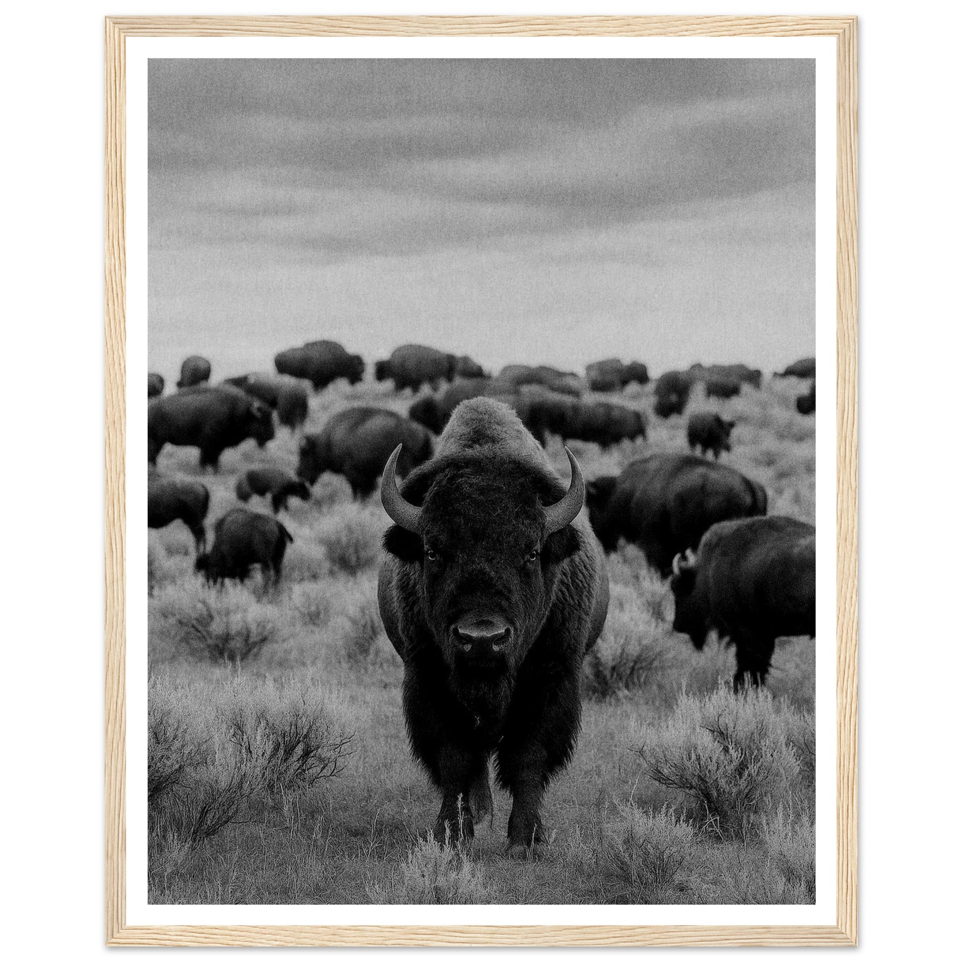 2d59ce0f-c454-4d01-be1e-2ea09af67281