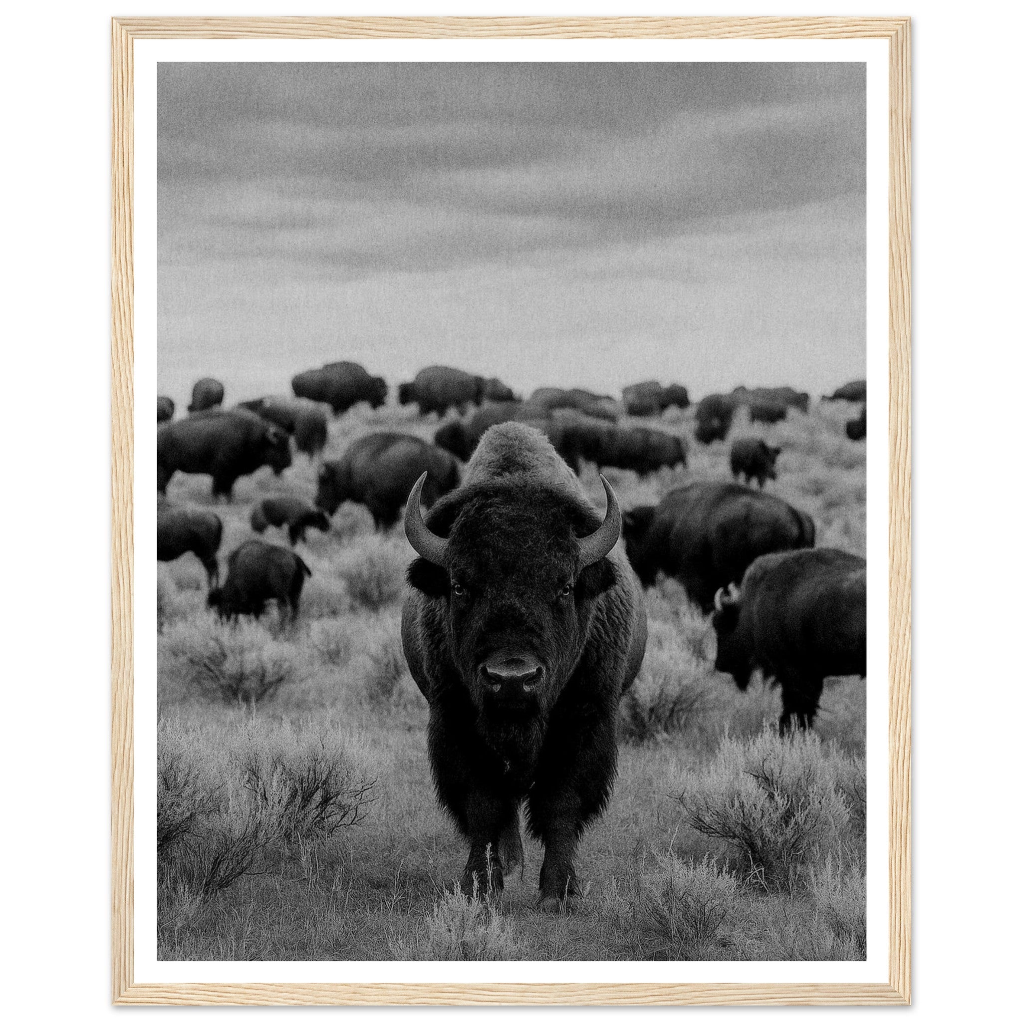 2d59ce0f-c454-4d01-be1e-2ea09af67281