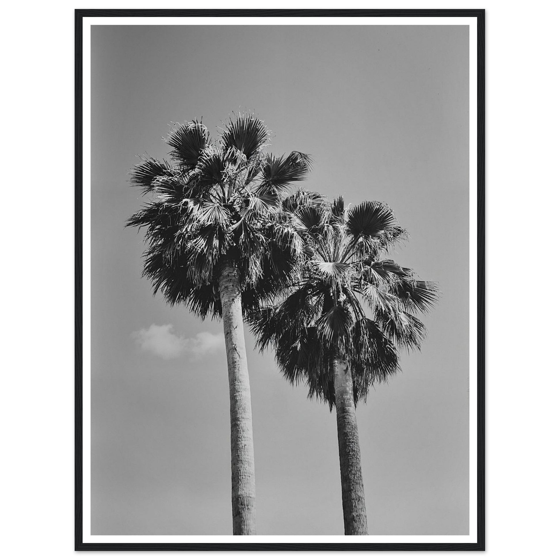 2da7255e-79d3-4879-9ce0-0fc3fbb623af