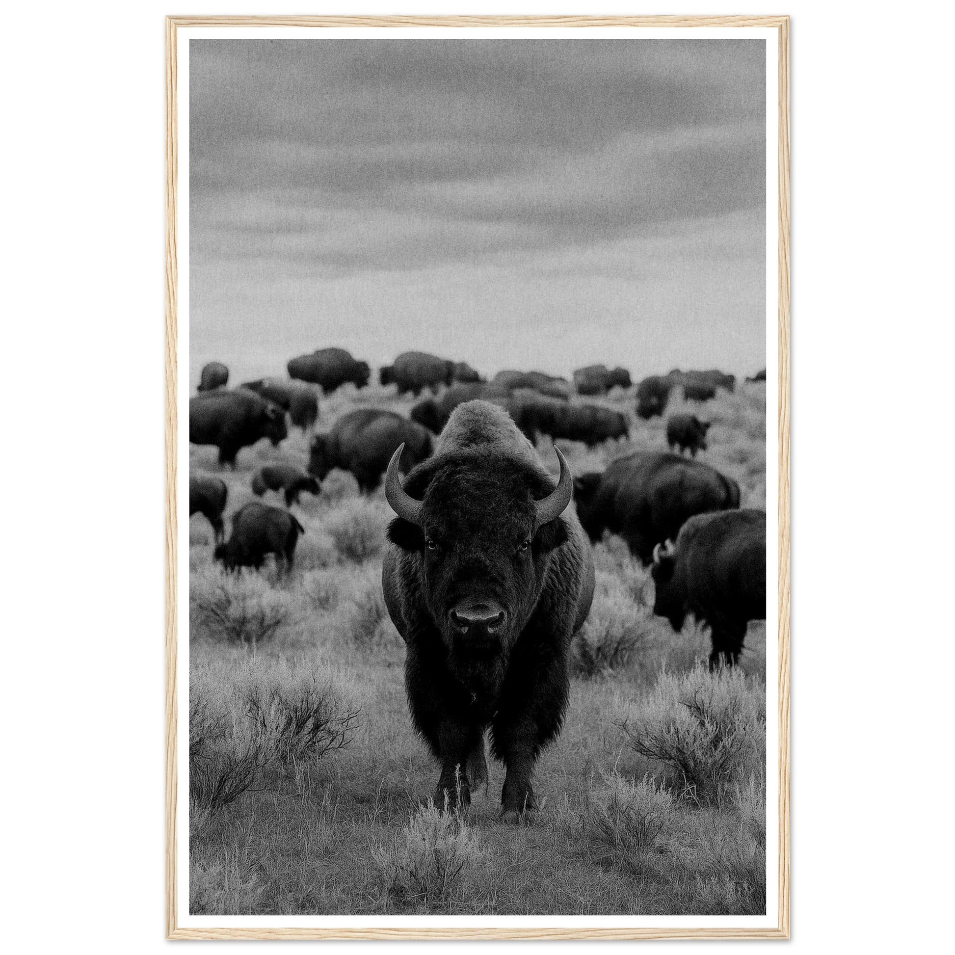 3173fafd-4b7a-4fcb-9e74-f15d0fcd5595