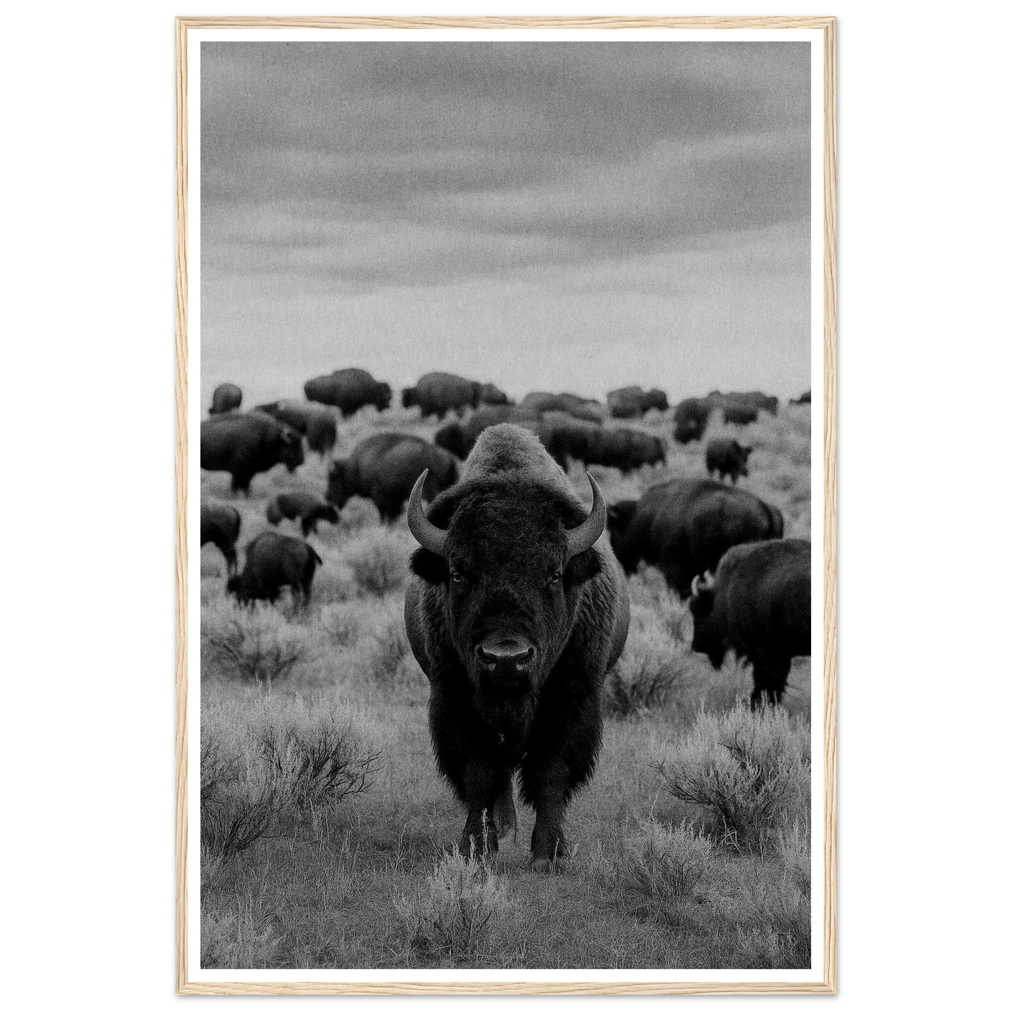 3173fafd-4b7a-4fcb-9e74-f15d0fcd5595