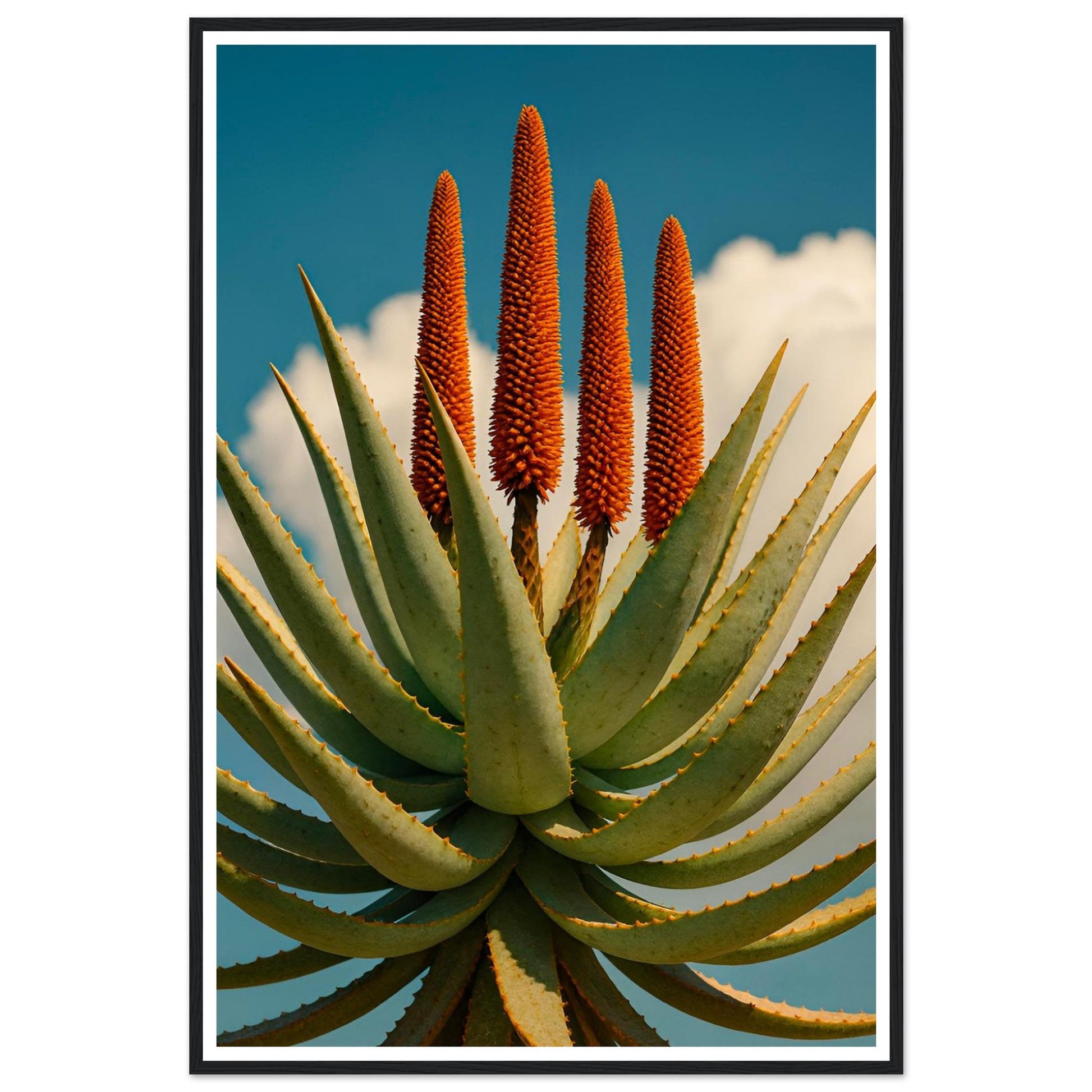 31e59411-b370-480c-b8f7-5a50724d7c7a