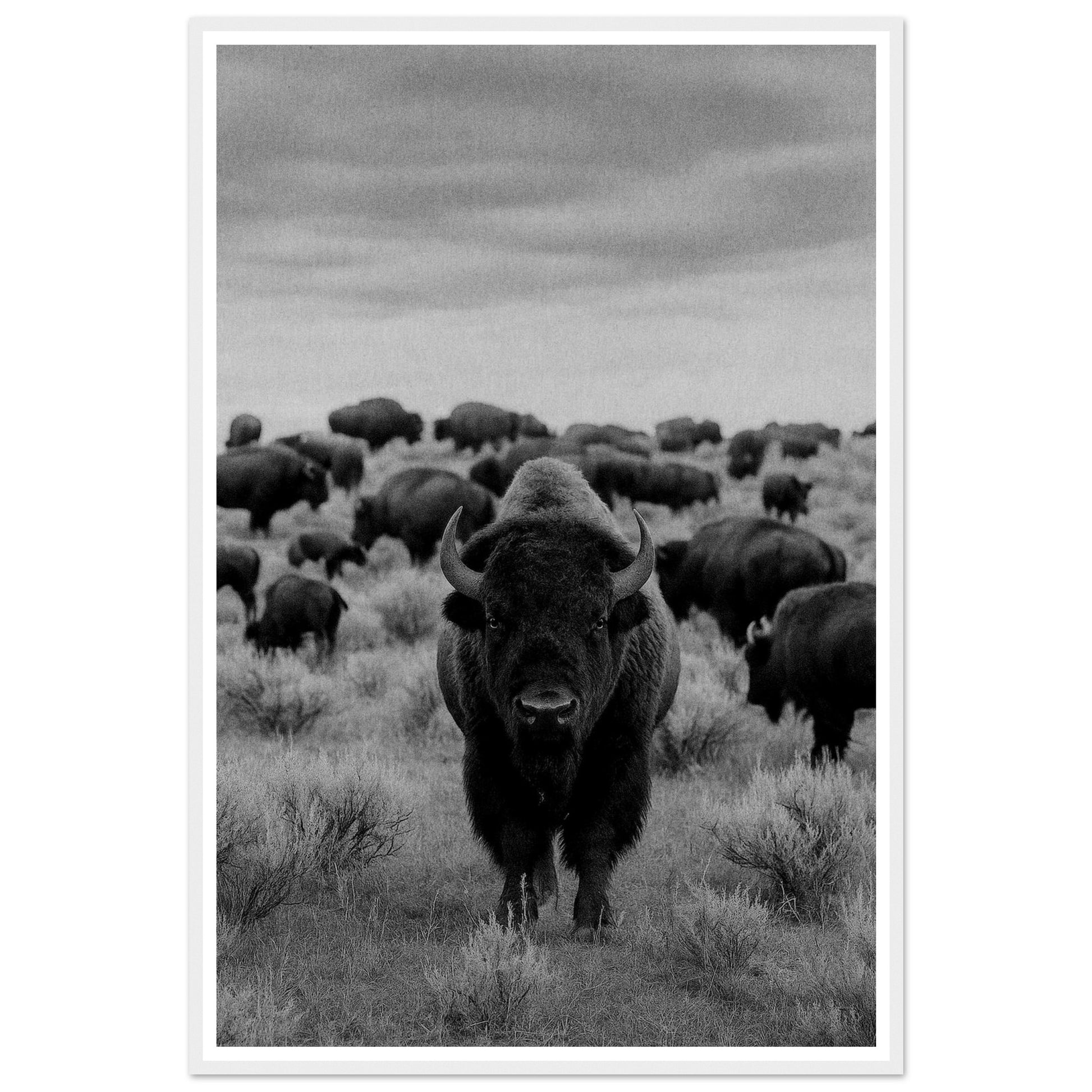 471238ea-8daa-47ed-b8d0-961f94e9f07f