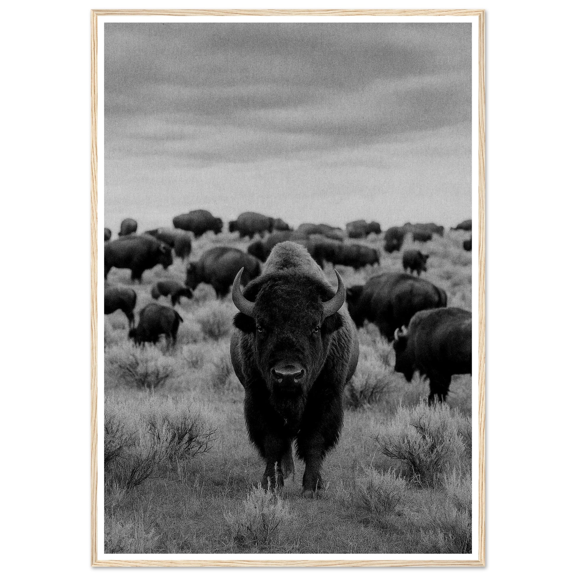 549717cc-f8a4-42e5-8b94-ba2a9c5cf794