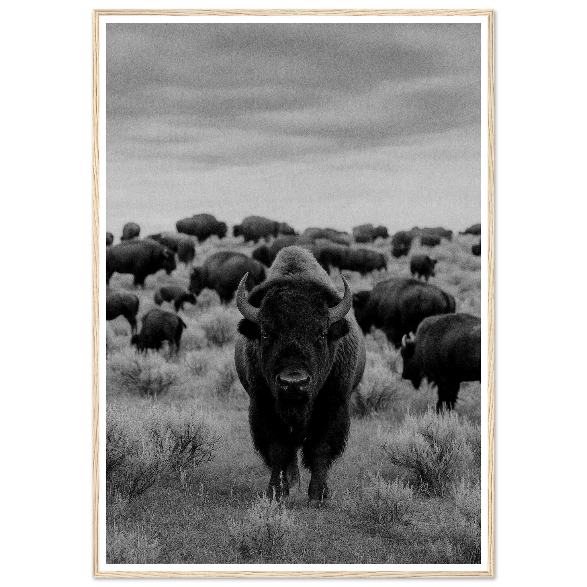 549717cc-f8a4-42e5-8b94-ba2a9c5cf794