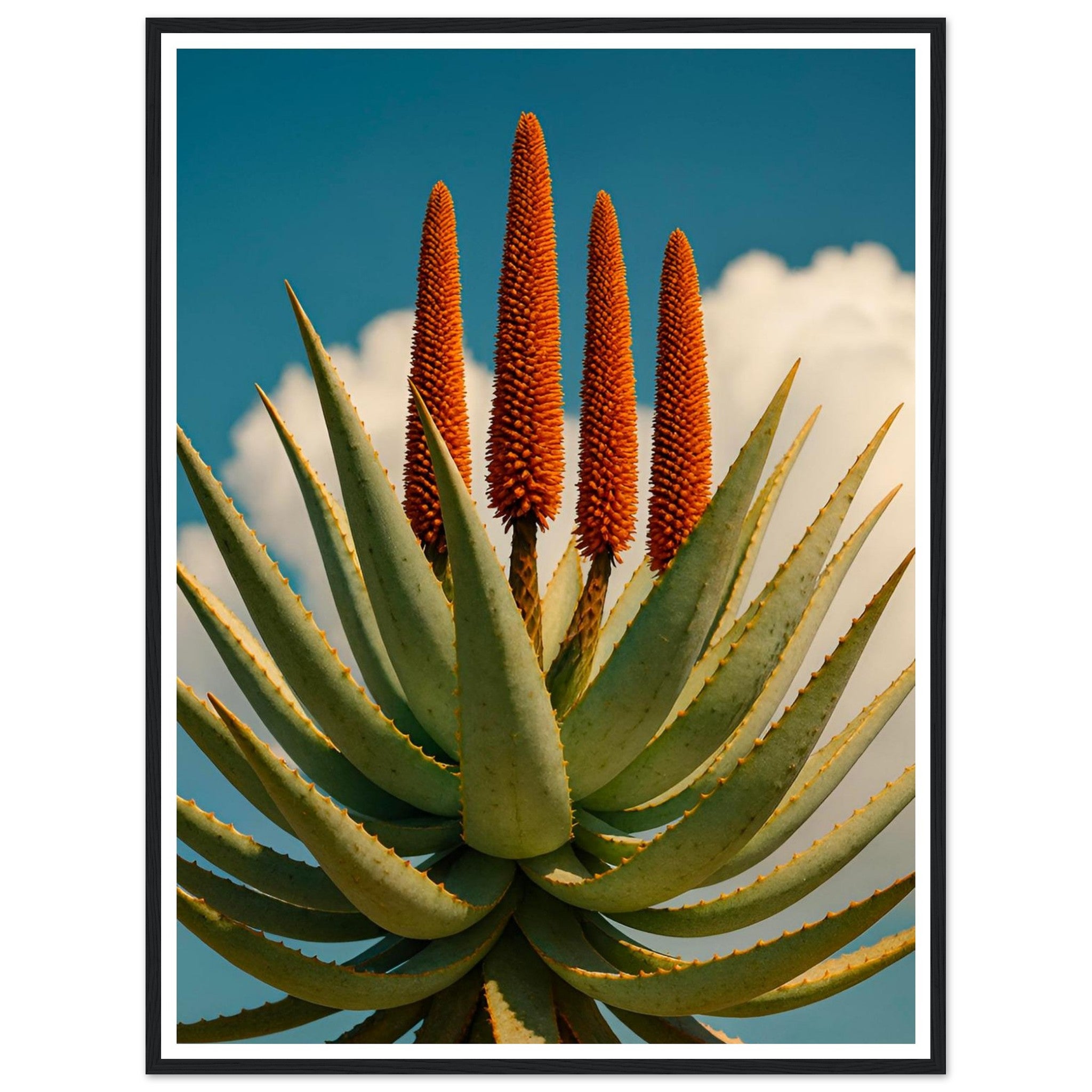 55355fd5-9348-4420-979f-7191356b3537