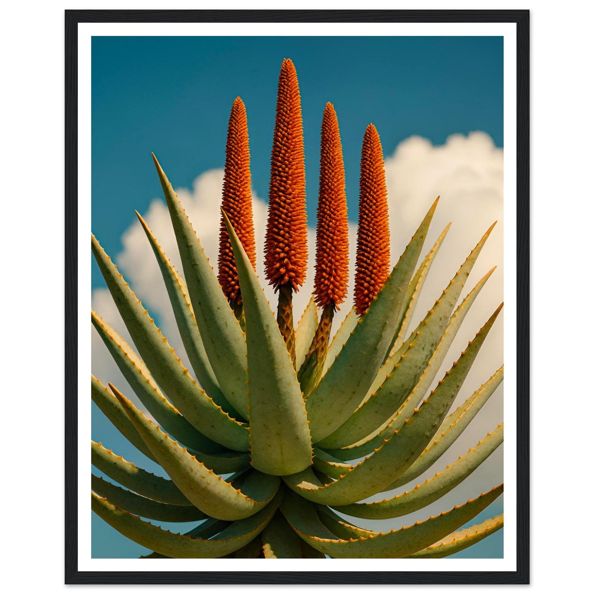 66c1e056-be67-42e1-b4a3-b4ebbb0c5582