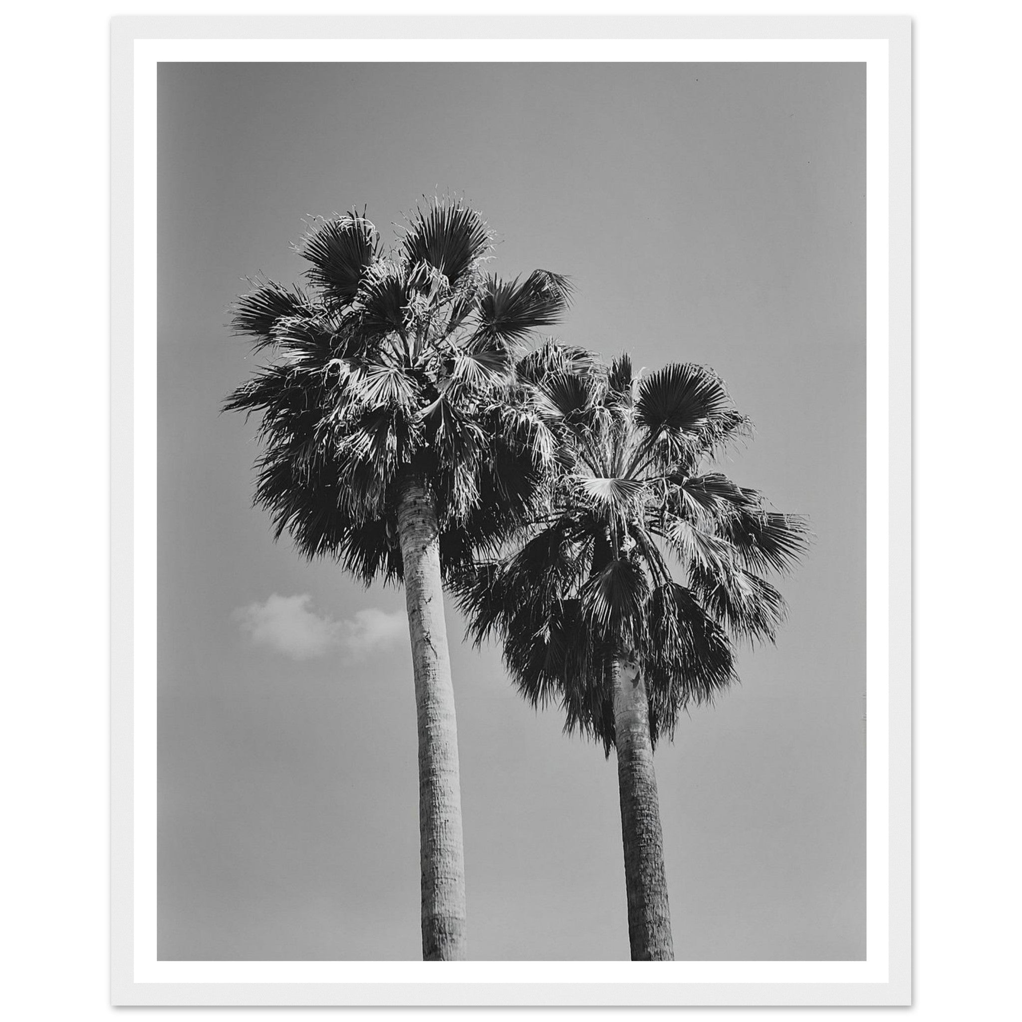 6c1ceec5-568f-4756-b677-4ac776339499