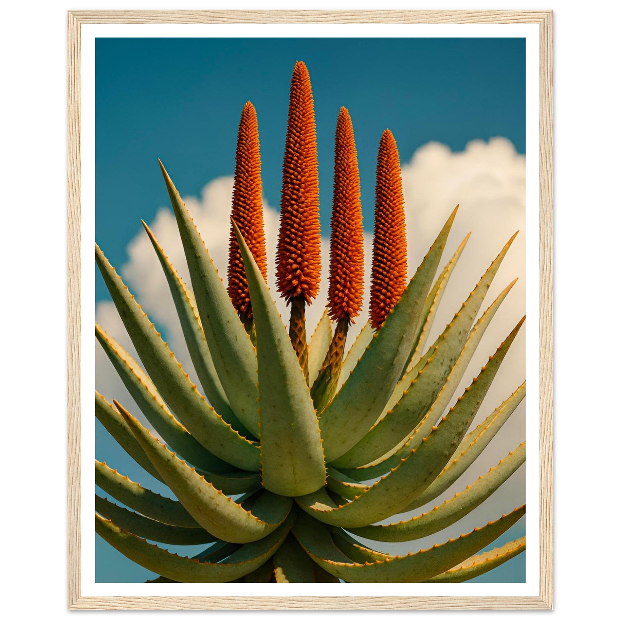 76069c4d-221e-4199-b298-d8a09a1bab88