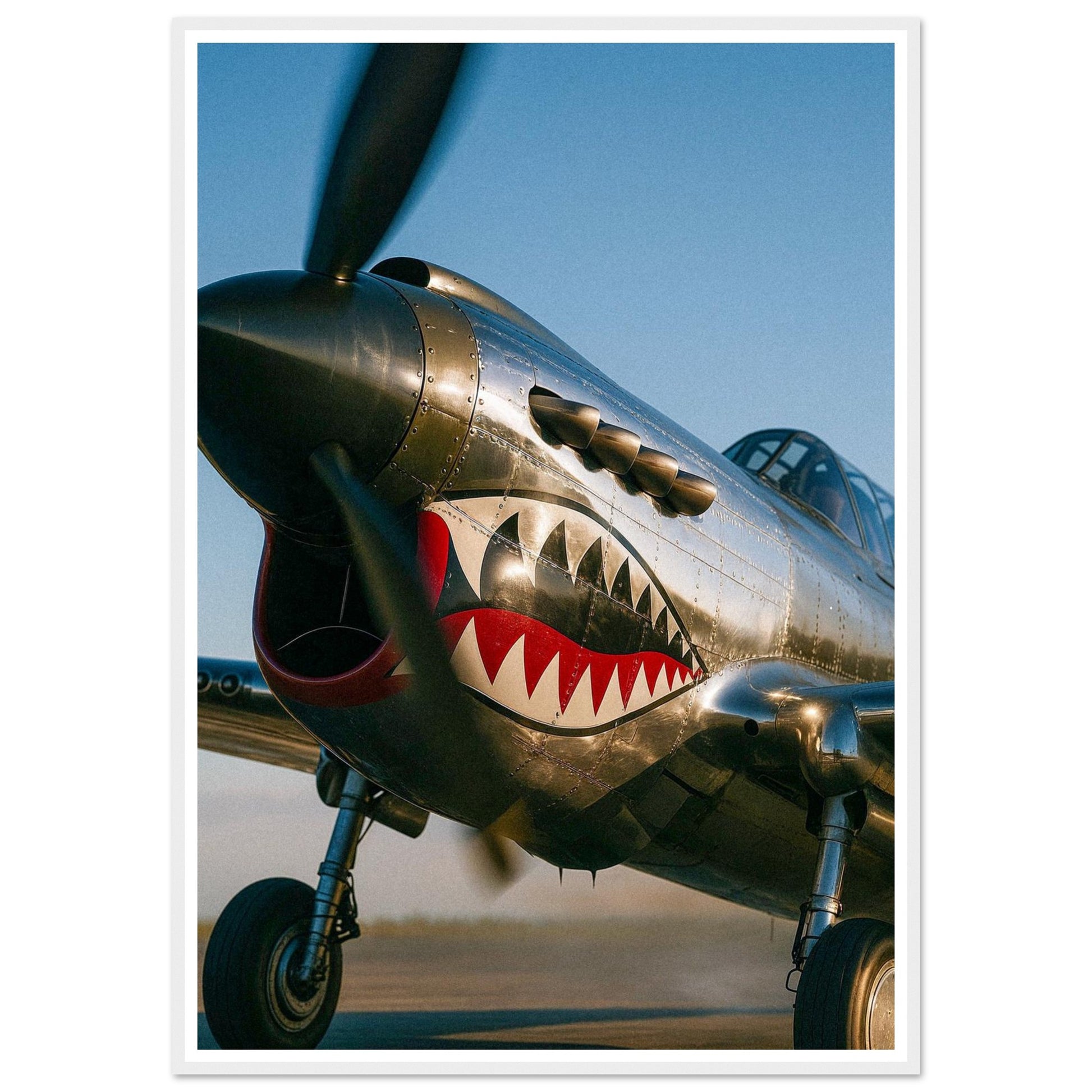 8c65acef-6c36-445f-b794-eb3a6b08ec9f