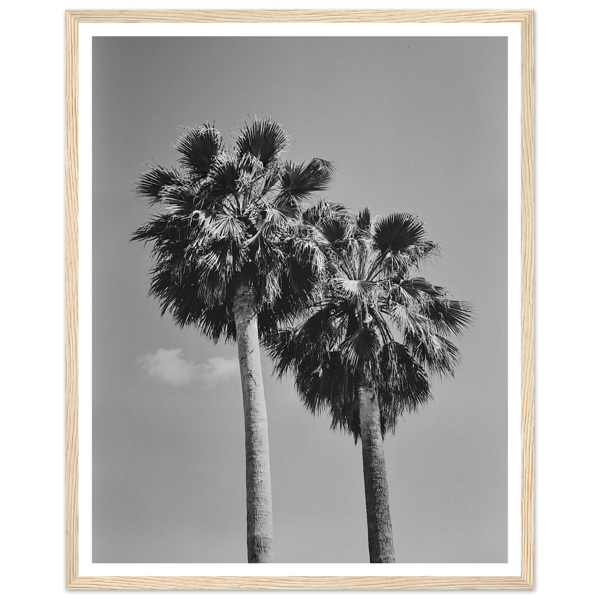 8e993f25-c036-44e7-9aca-2a22e72c9b83