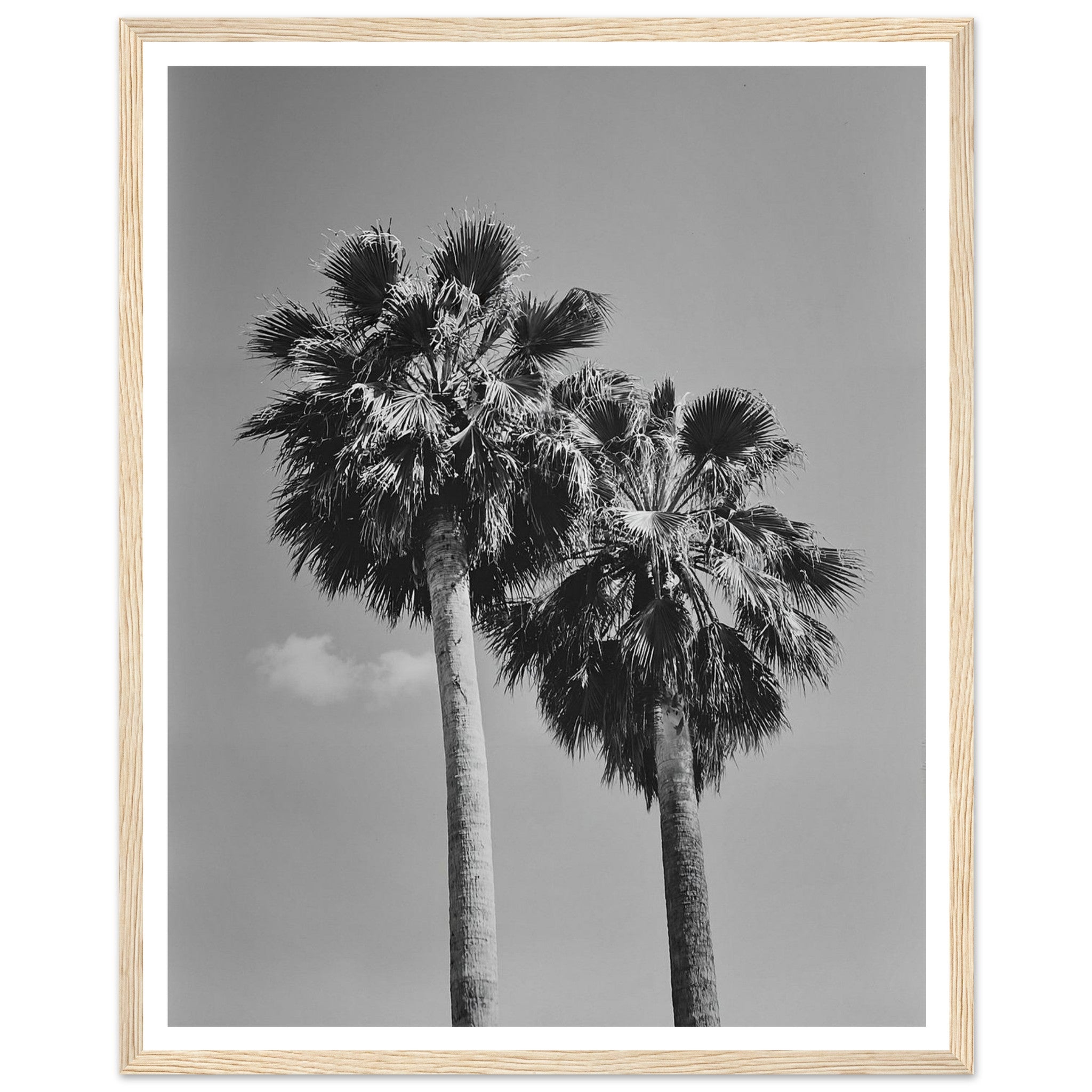 8e993f25-c036-44e7-9aca-2a22e72c9b83