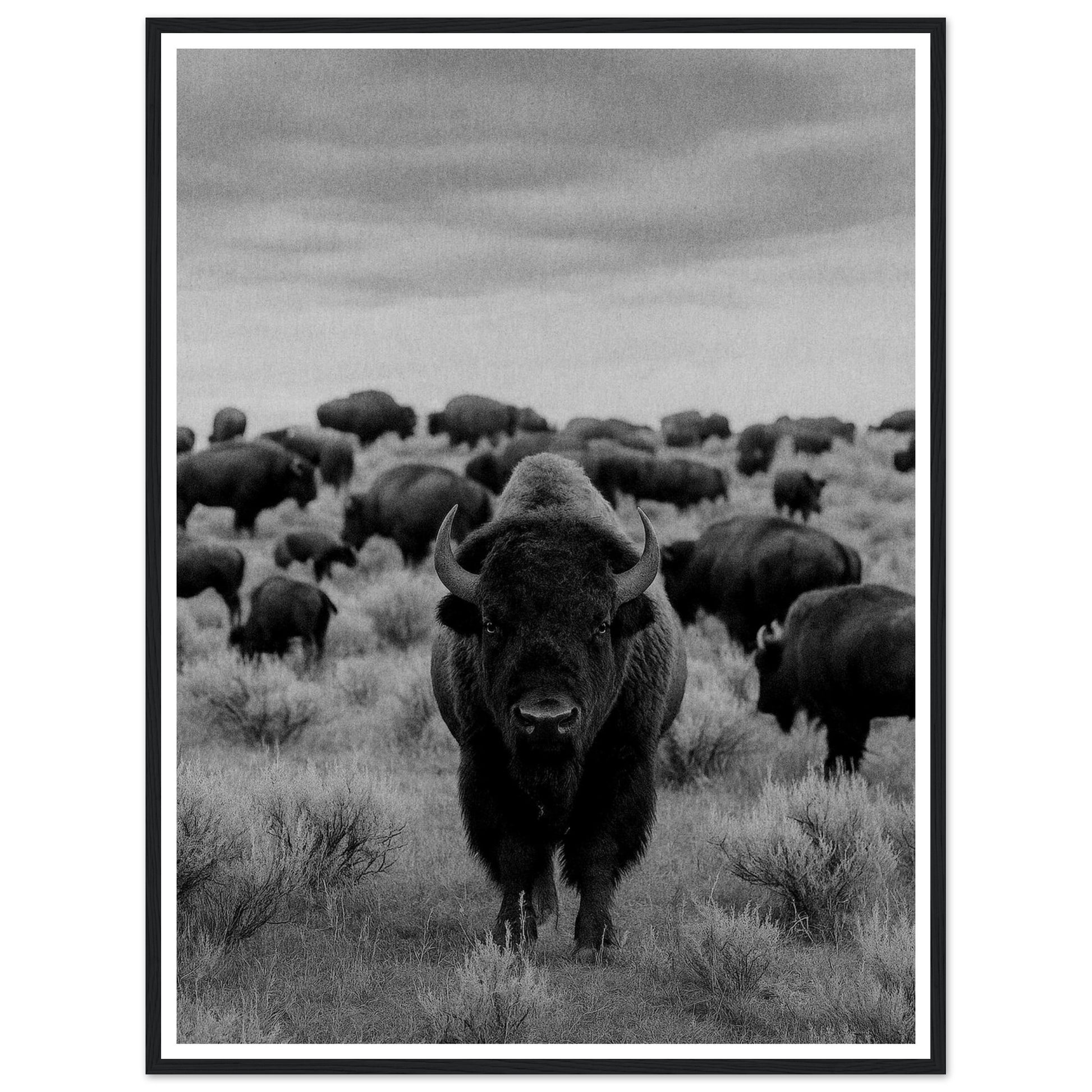 930f0556-be97-4f00-b8c5-ea1f593d715b