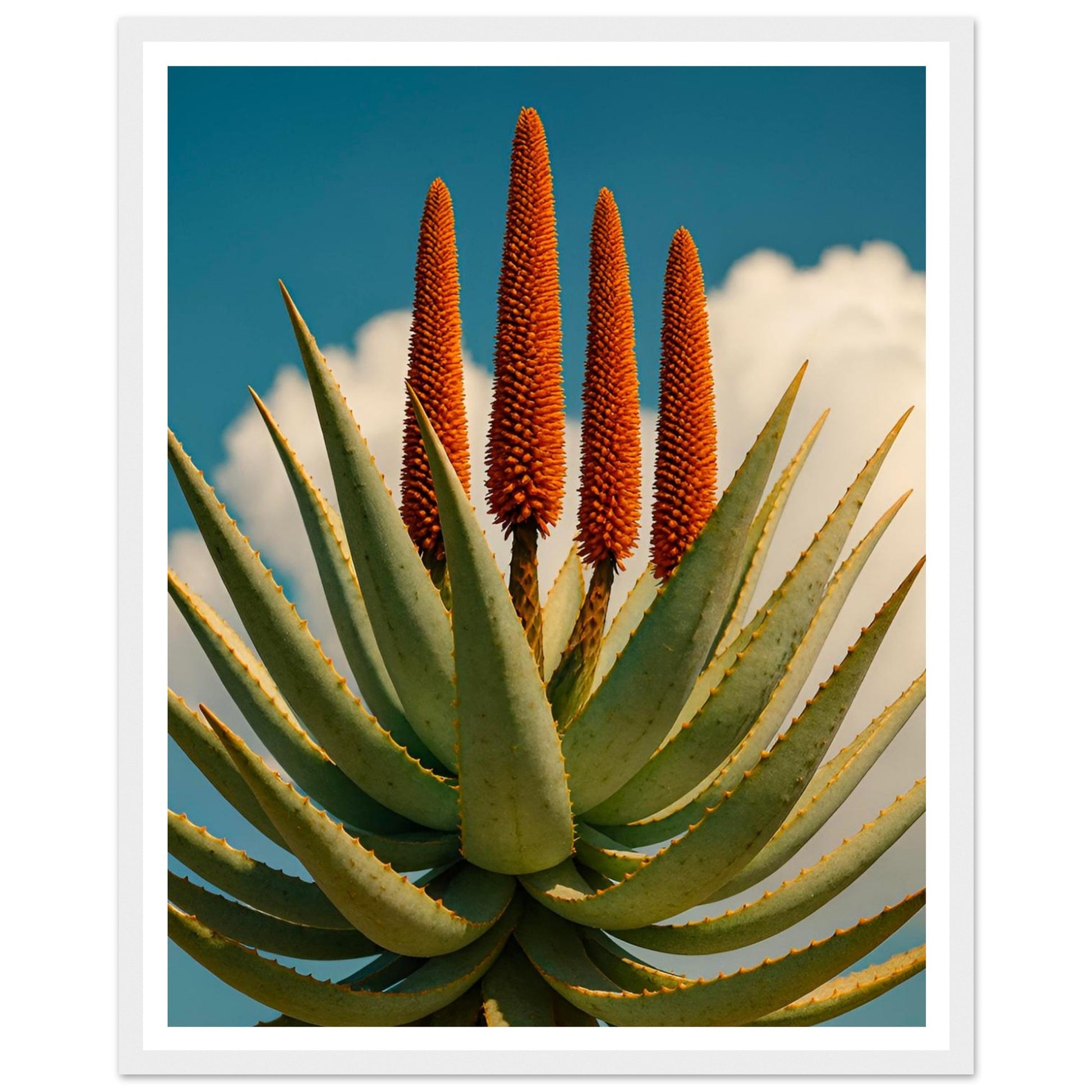 950f8108-1cf4-4cb5-94a6-7fff09bcef43