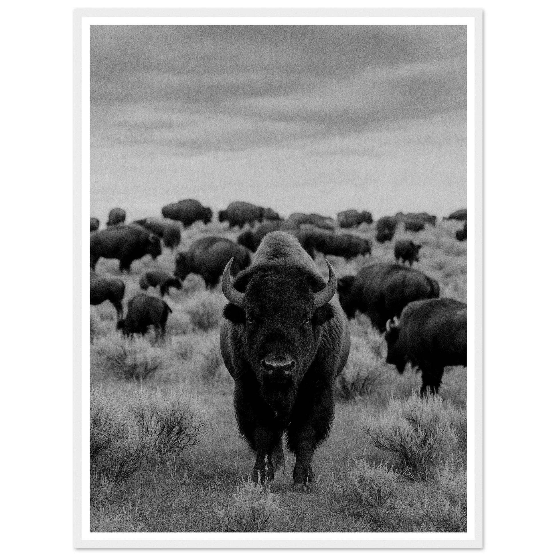 b35bf08c-05d0-4077-9781-07a8d14b18b1