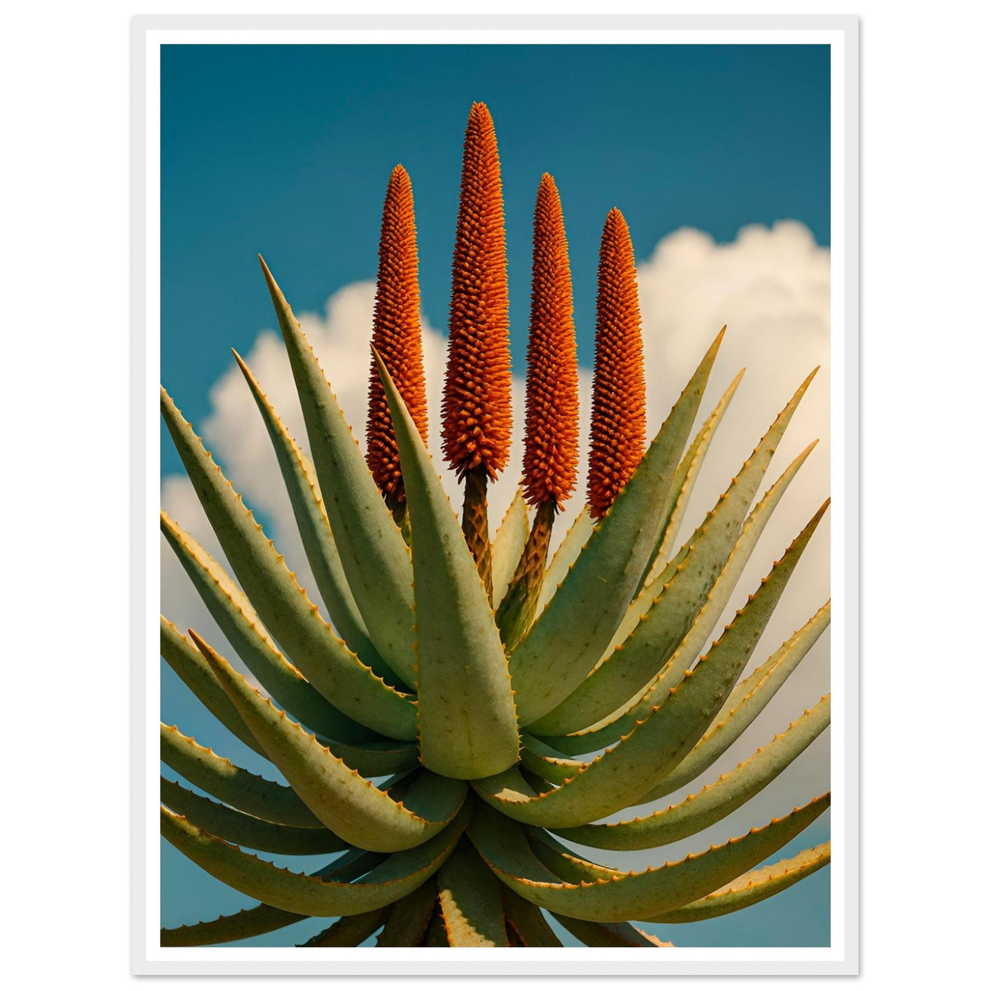 c5af00d7-72d6-41bd-b685-59e534a6cd75