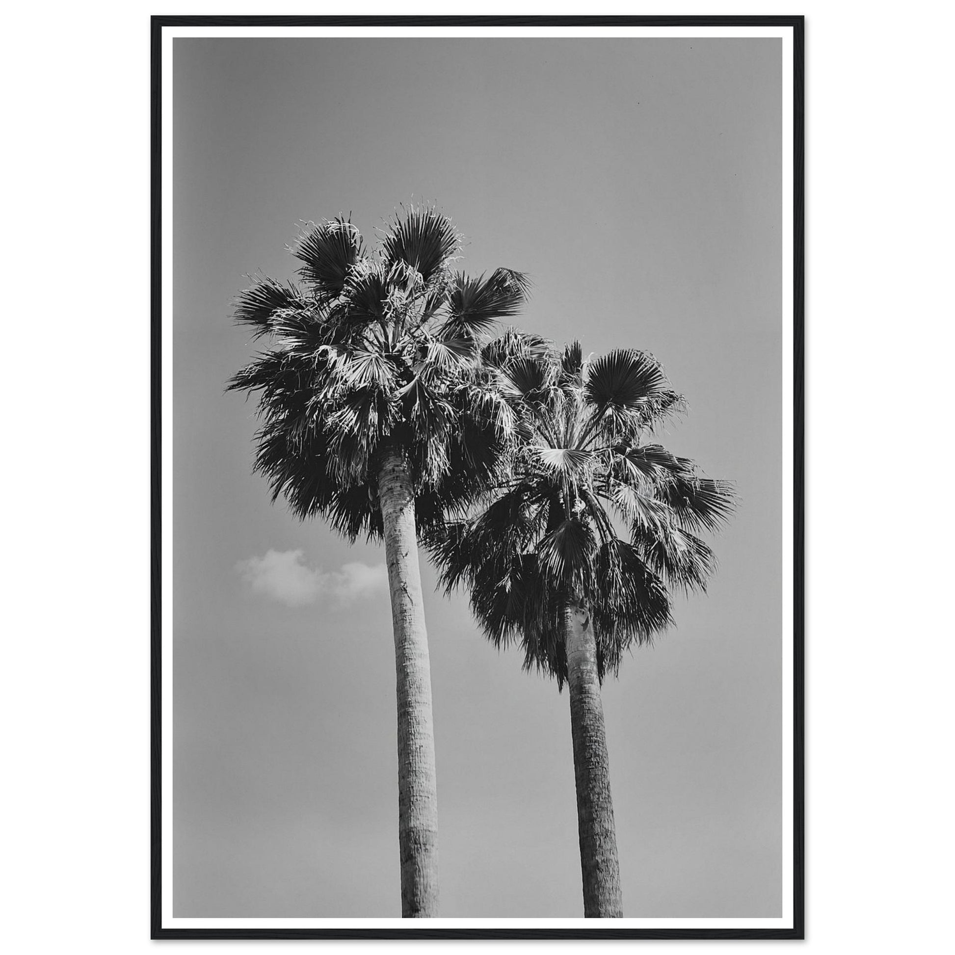 c6b768fc-4b74-46bf-89f1-b9d6e7296aeb