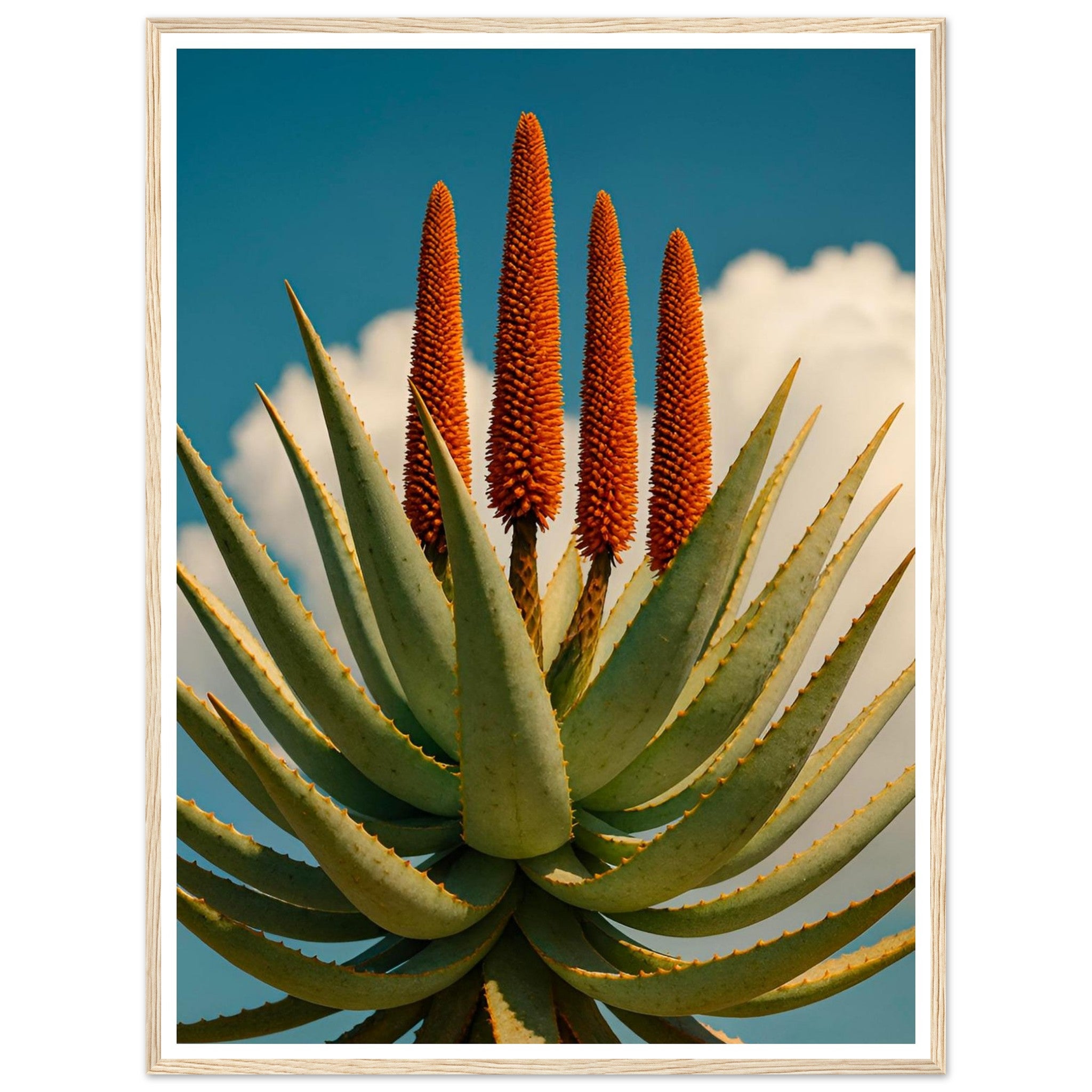 d4a1d0e1-6ca8-47c4-b706-f066c8b0eacb